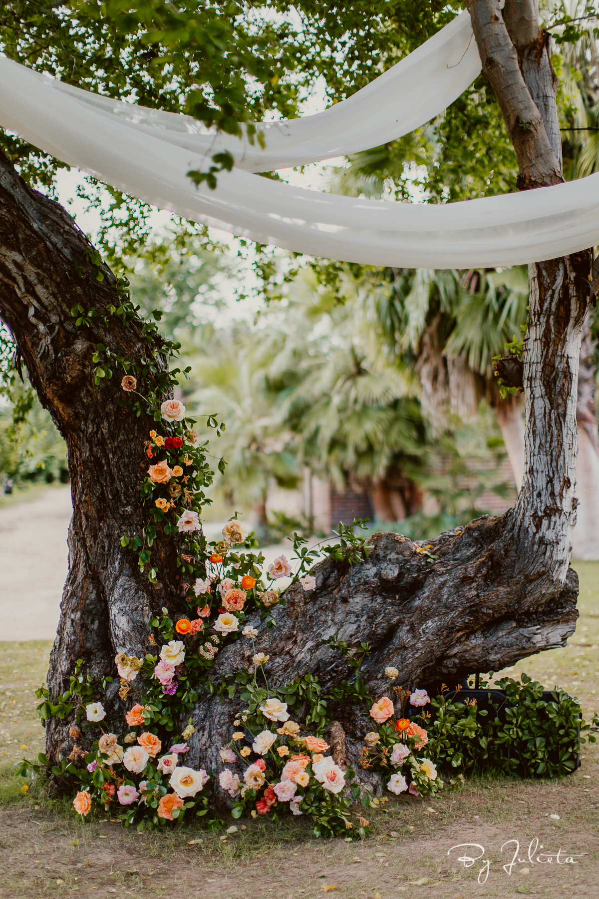 Flora Farms Wedding Cabo. J+J. Julieta Amezcua Photography. (170 of 623).jpg