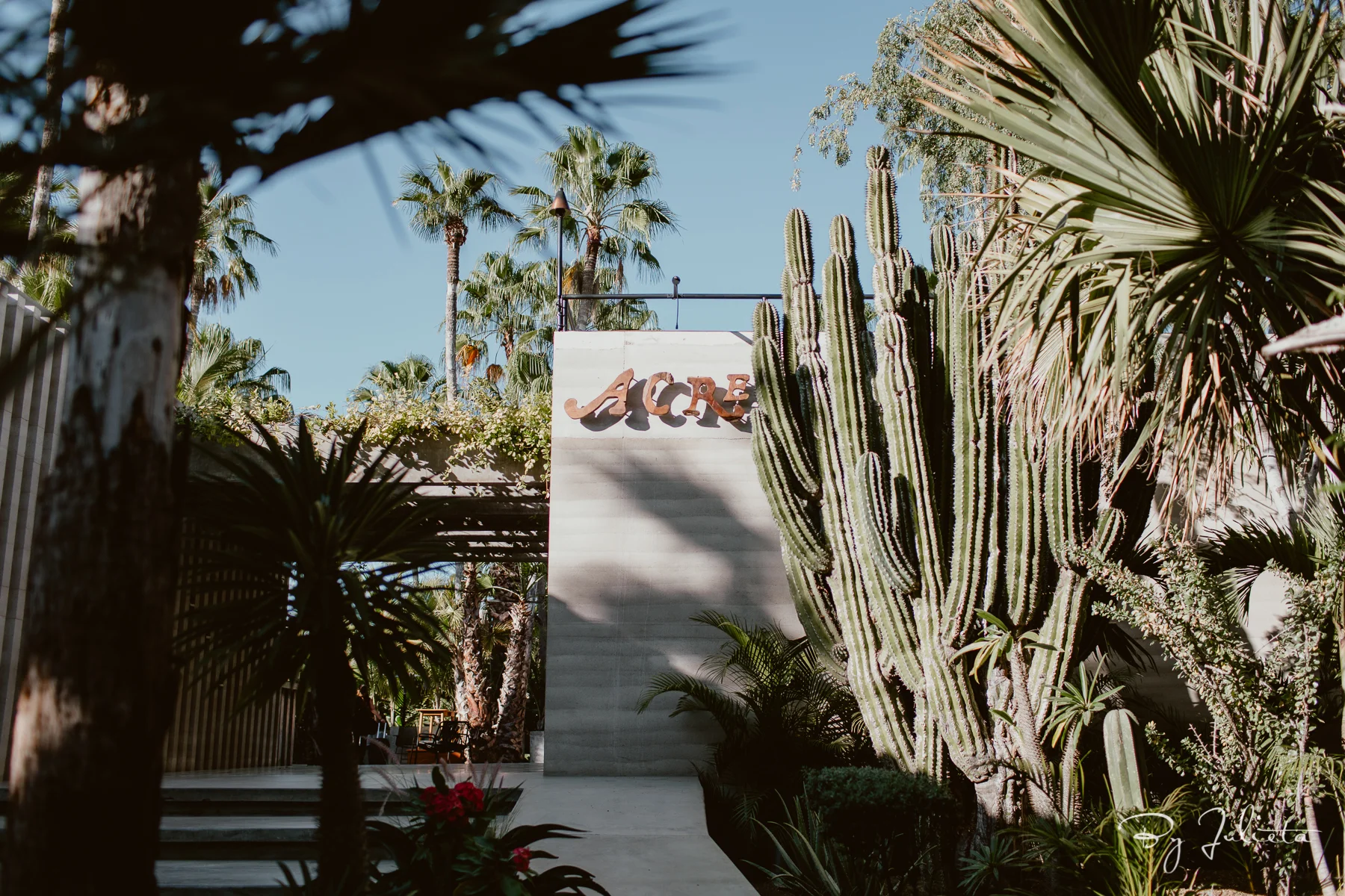 AcreCaboWedding.L+M.JulietaAmezcuaPhotography.(213of553).jpg