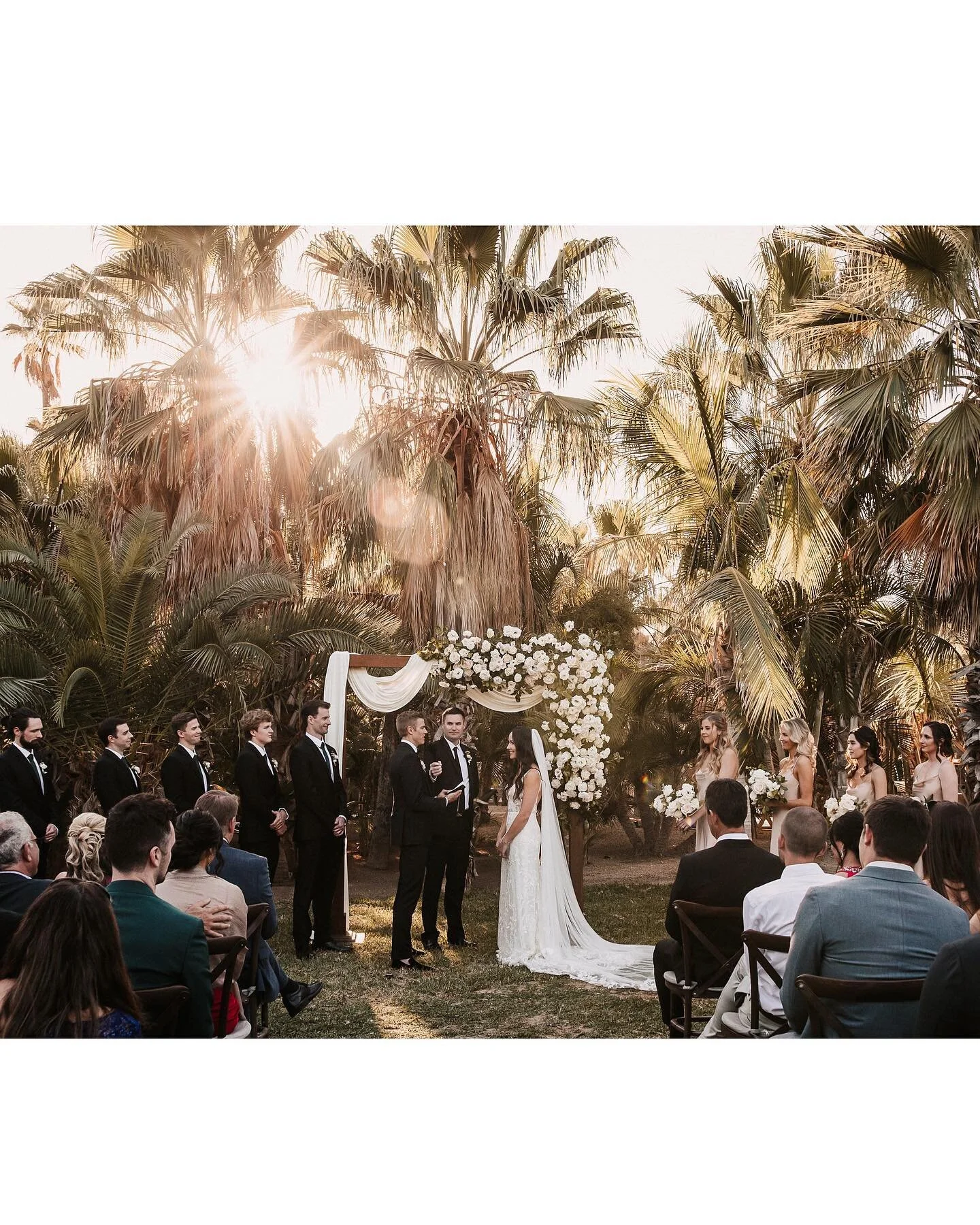 Oasis wedding vibes 🤩 @acre.wedding @caboweddingservices 🌴🌴🌴