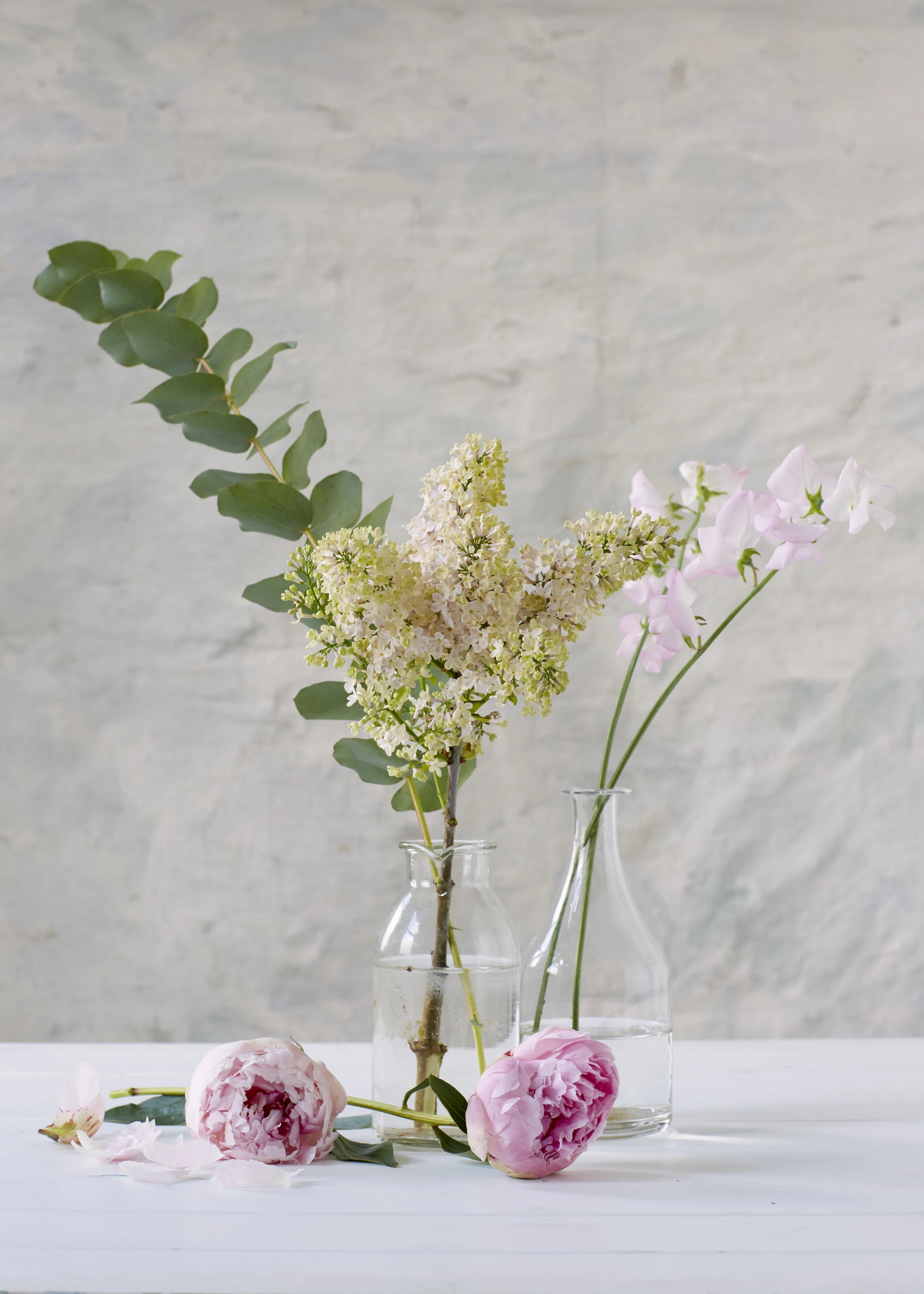 170425_Majestic_Rose_04_068.jpg