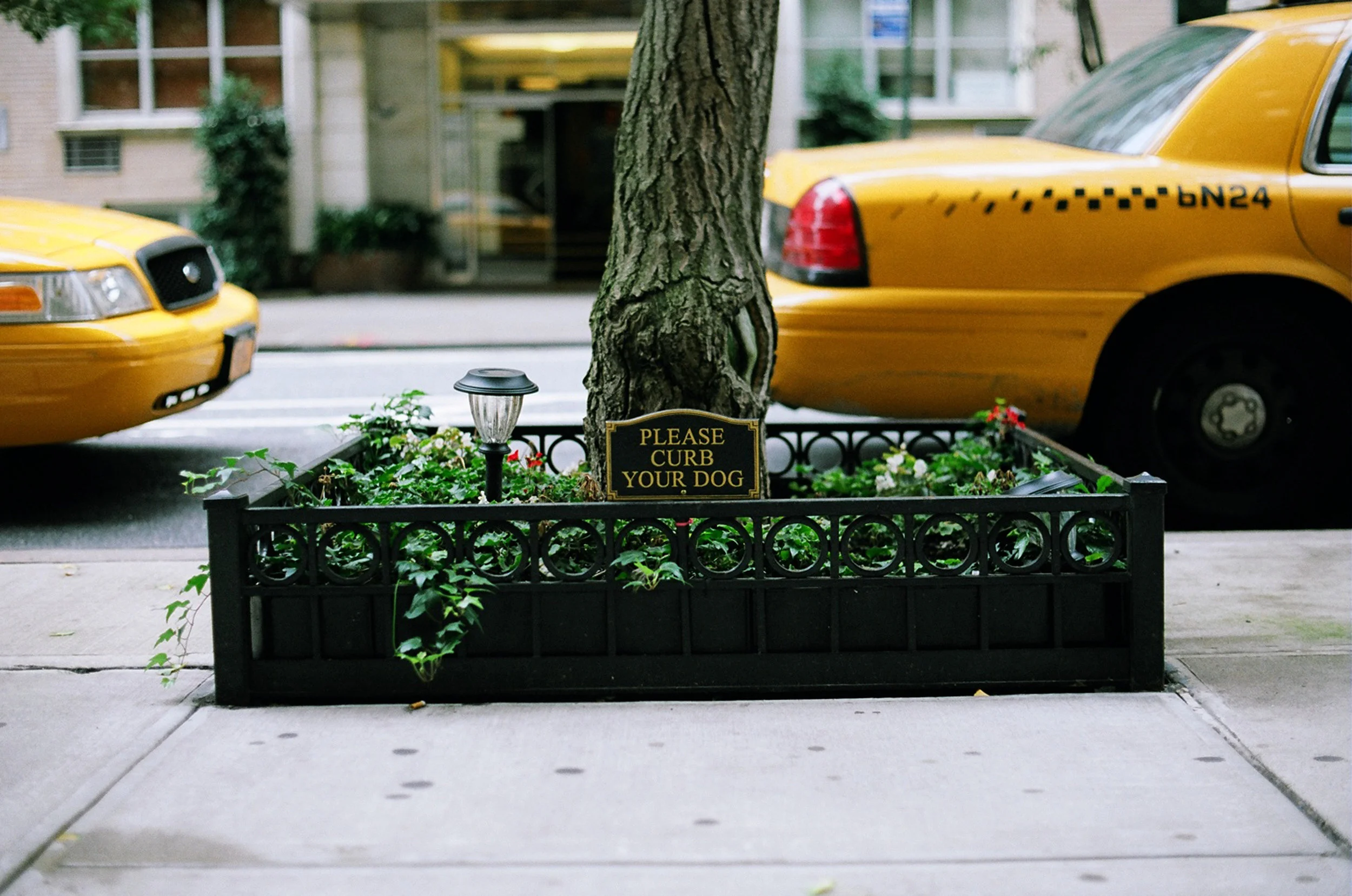 Curb that Dog, Manhattan, NYC.