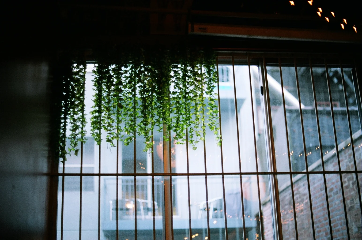 Plant and Grill, NYC