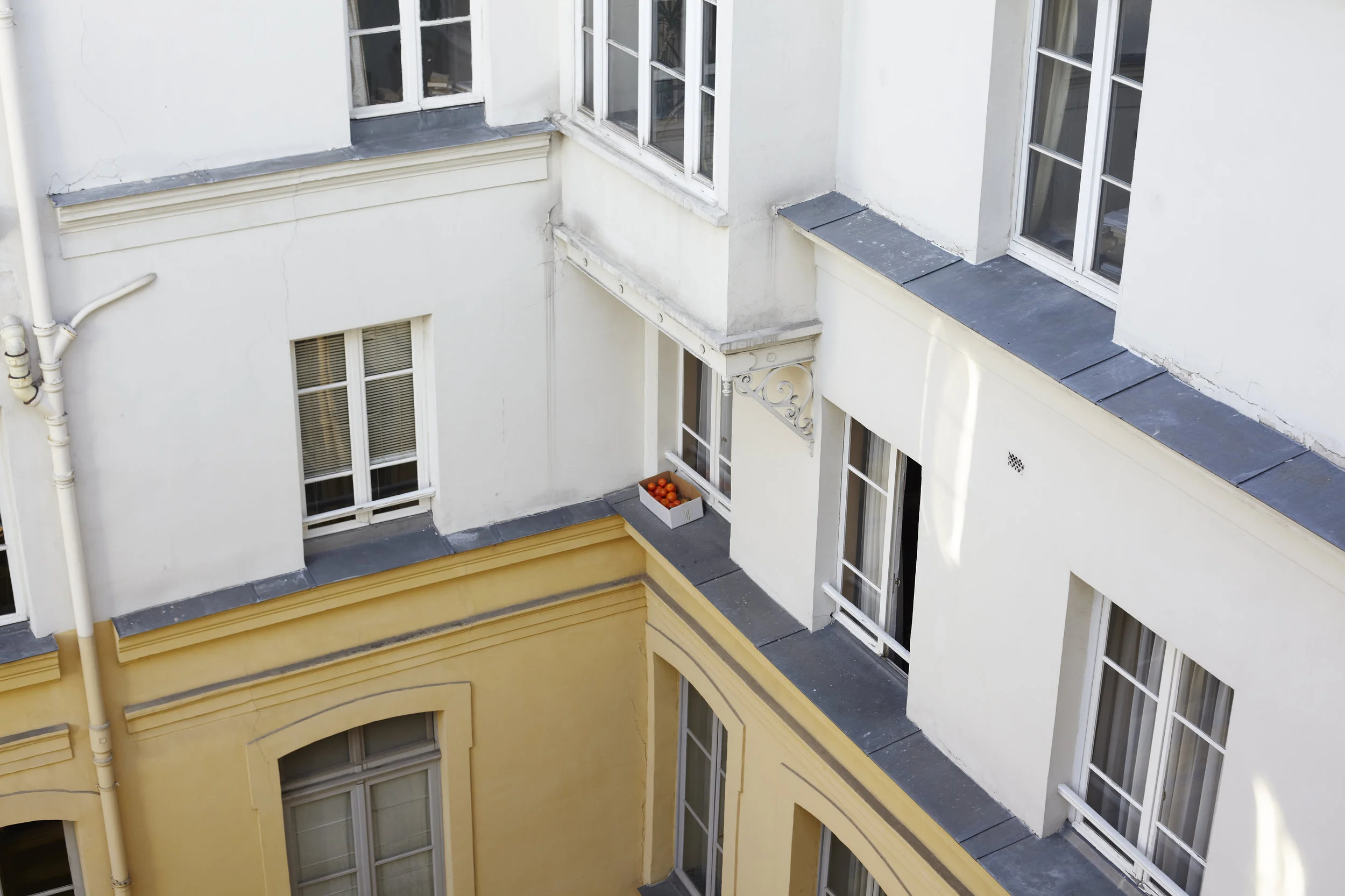 Oranges, Paris.