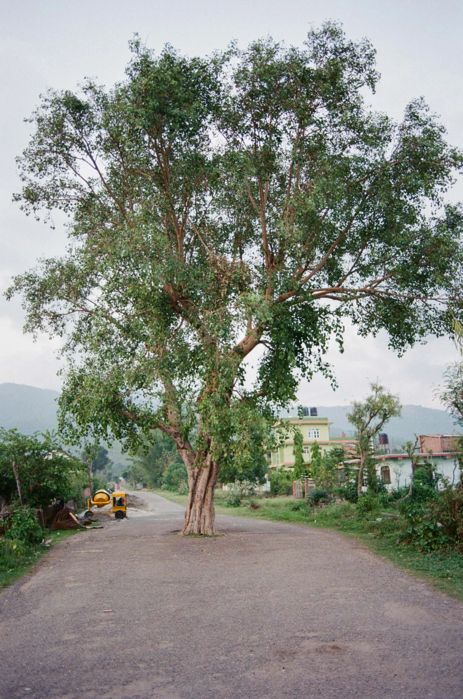 21392_JRE_Nepal_005-01 copy-Site.jpg
