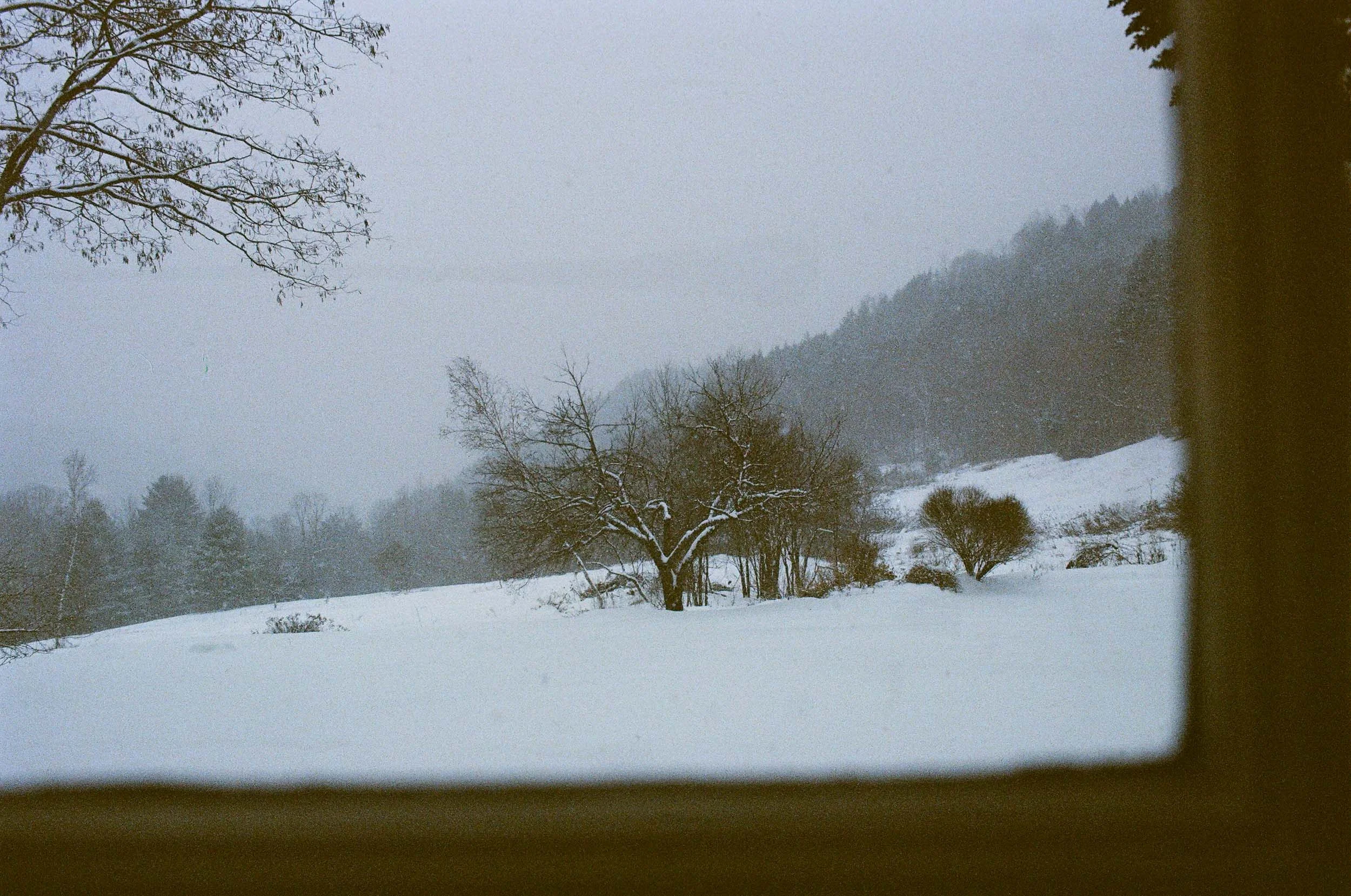 24650029 copy-Site.jpg