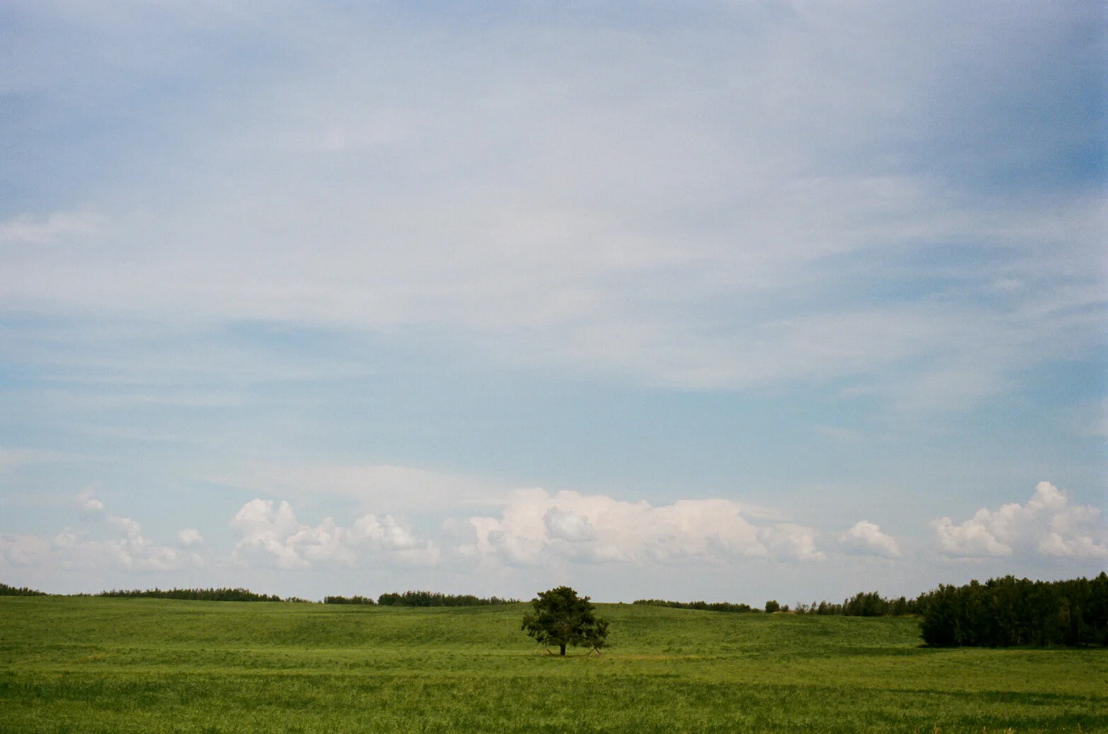 000049600029 copy-Site.jpg
