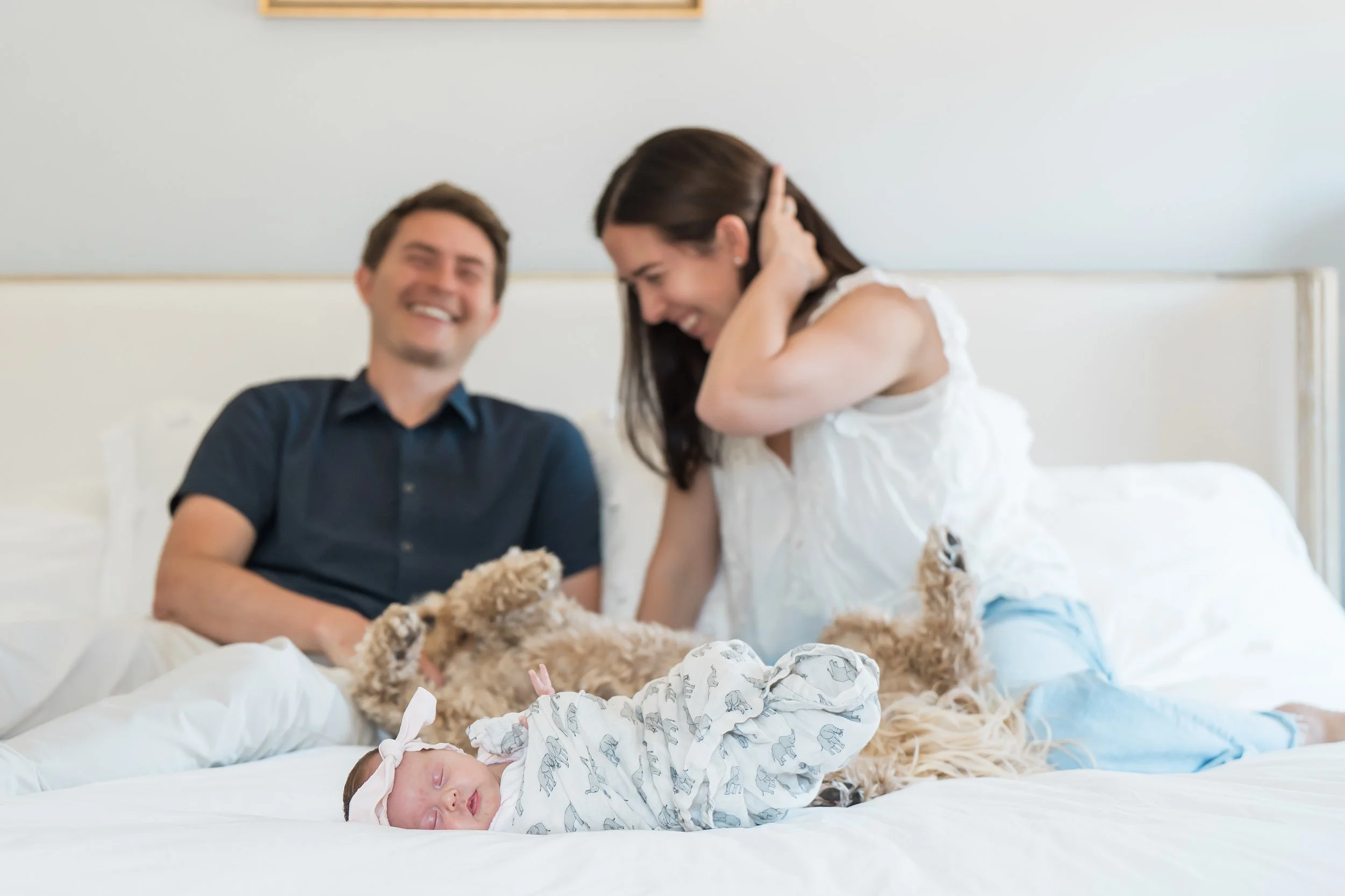 Lily_Newborn_spp_journal_cover-1.jpg