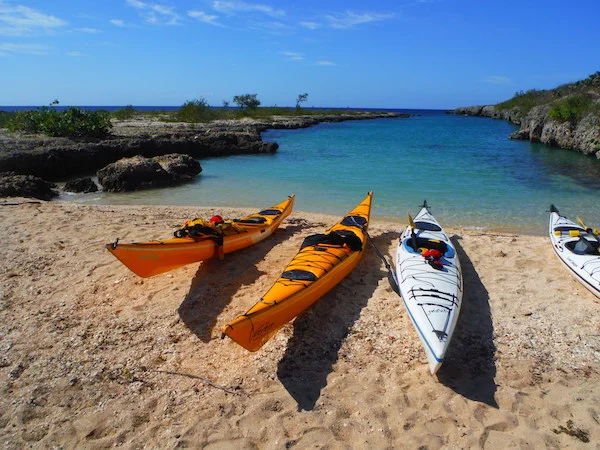 Ultimate Kayaking Adventure