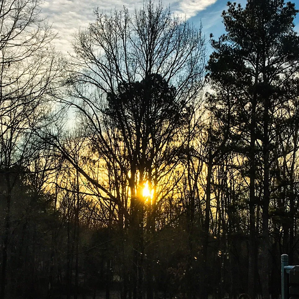 Sounds all around us