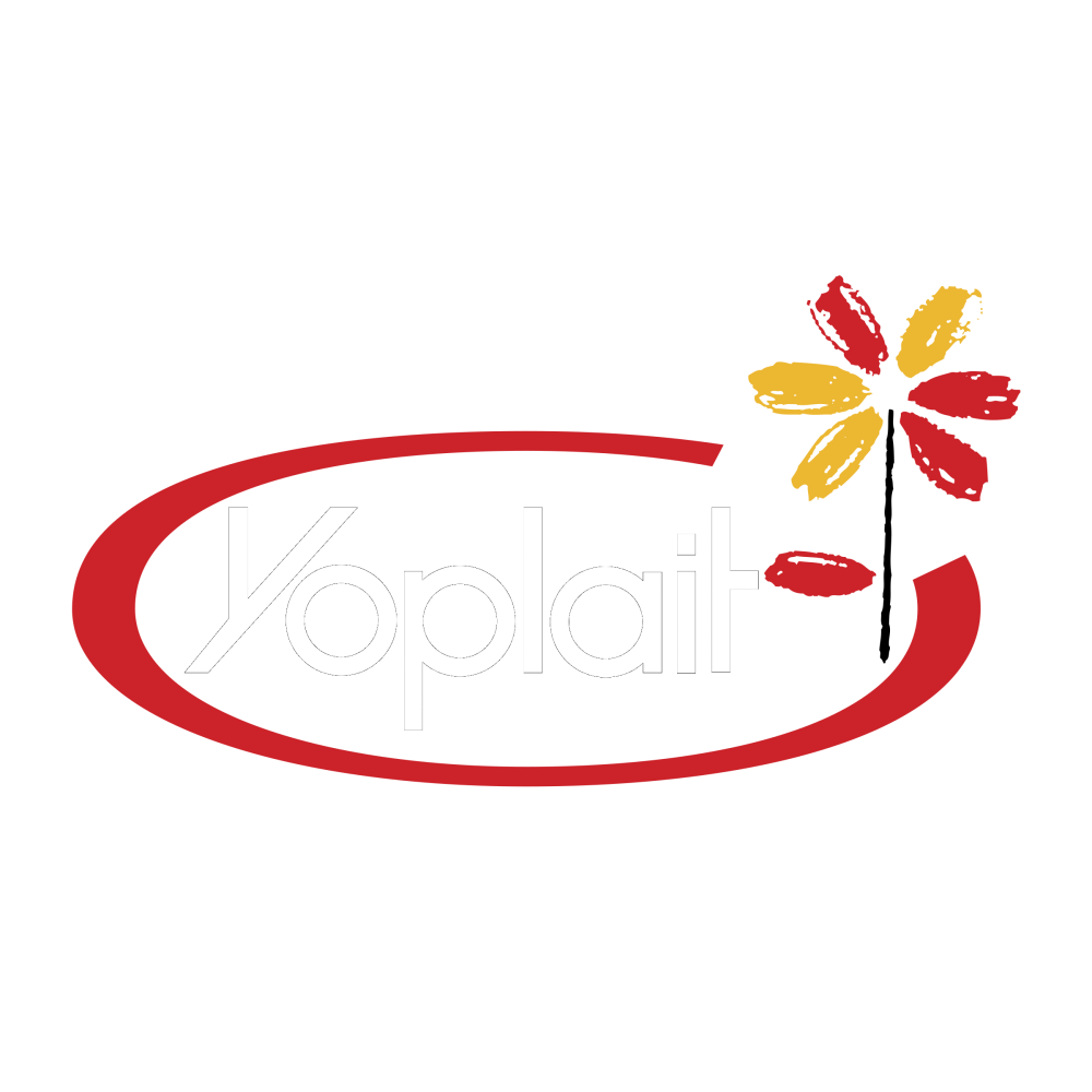 yoplait-logo-png-transparent (0-00-00-00).png