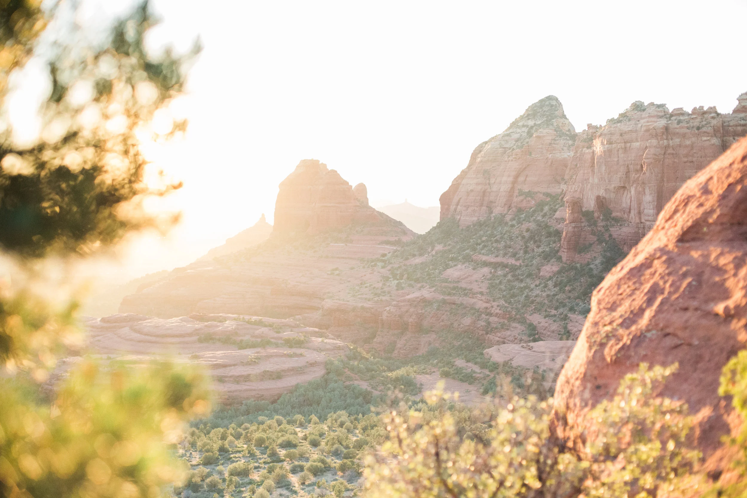 Sedona Red Rocks- Golden Hour Valley View