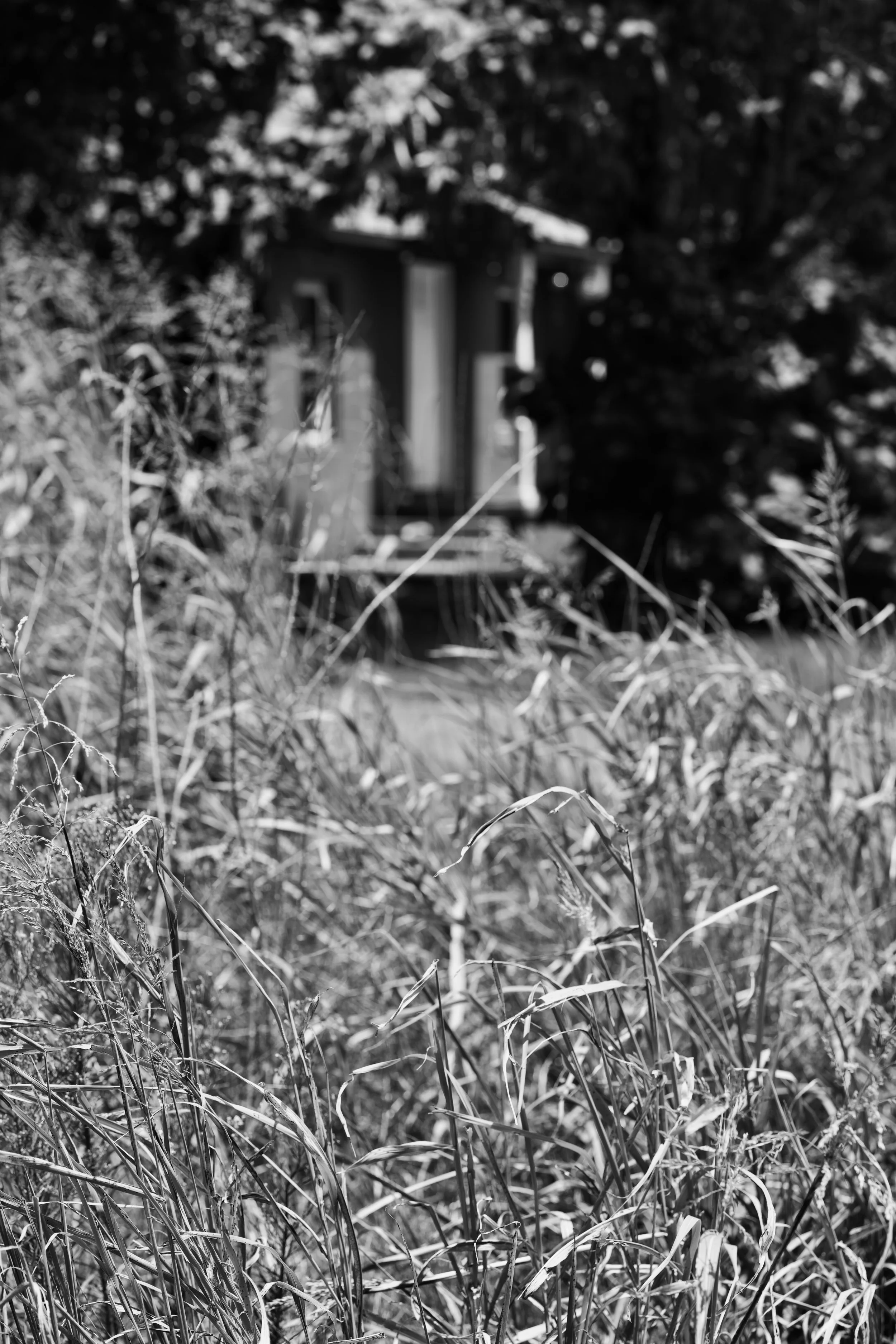 DSC00152.jpeg
