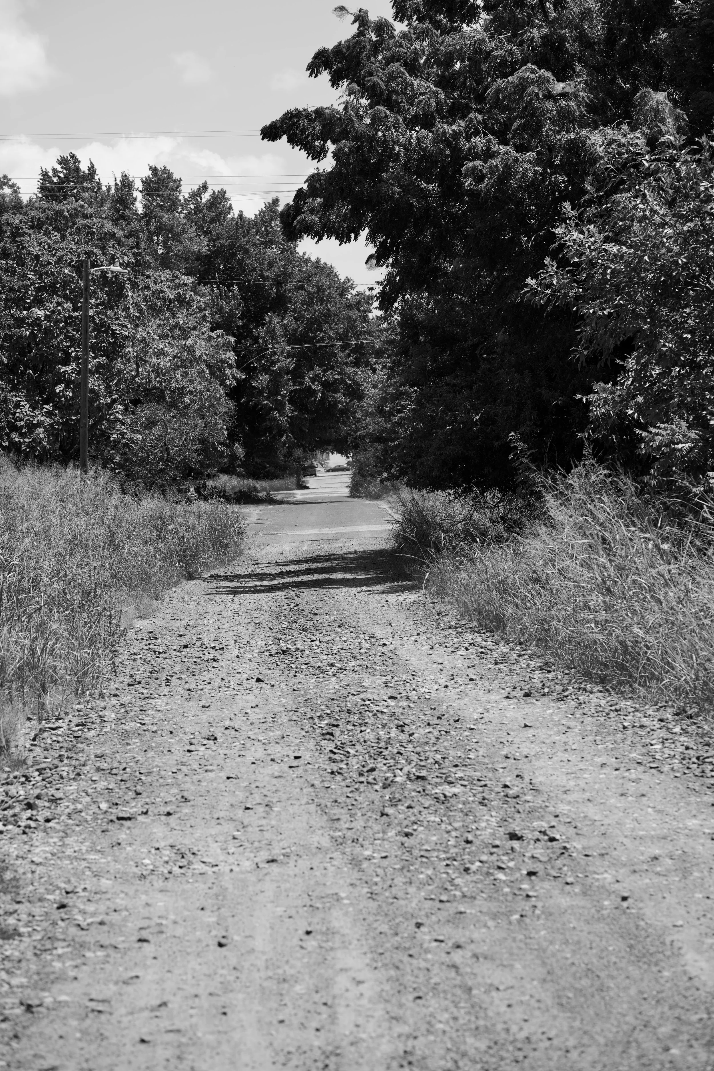 DSC00148.jpeg
