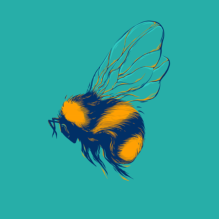 Bumble