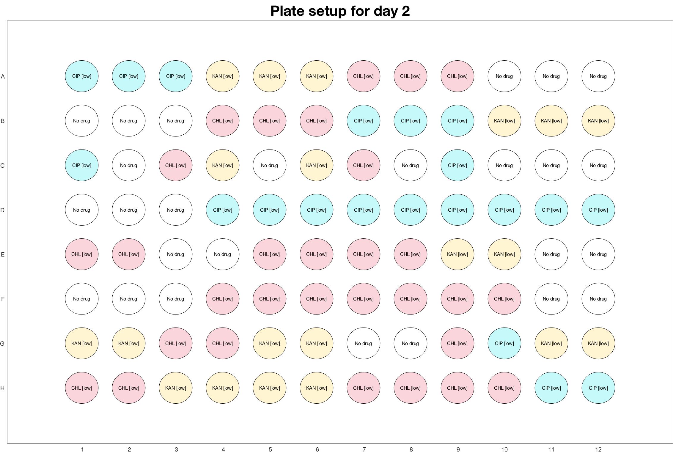 Plate setup for day - 2.jpg