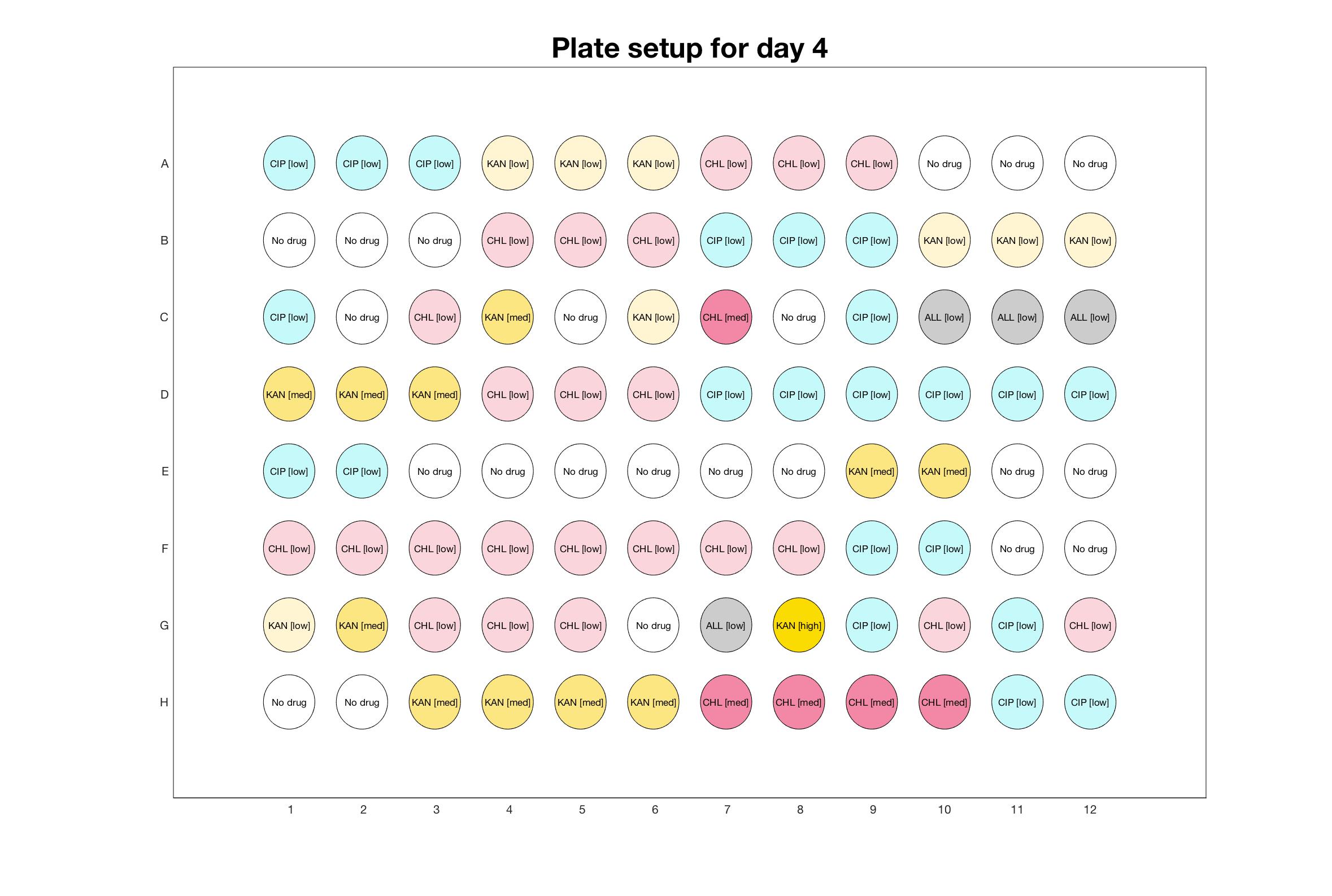 Plate setup for day - 4.jpg