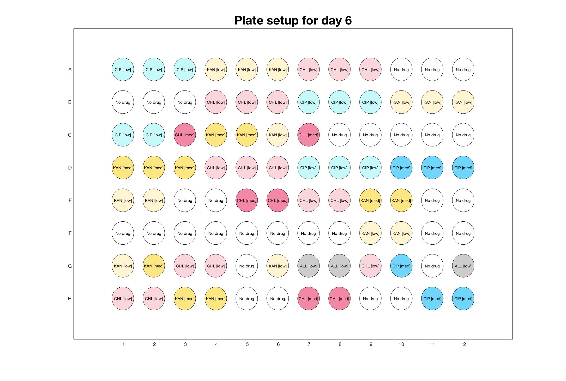 Plate setup for day - 6.jpg