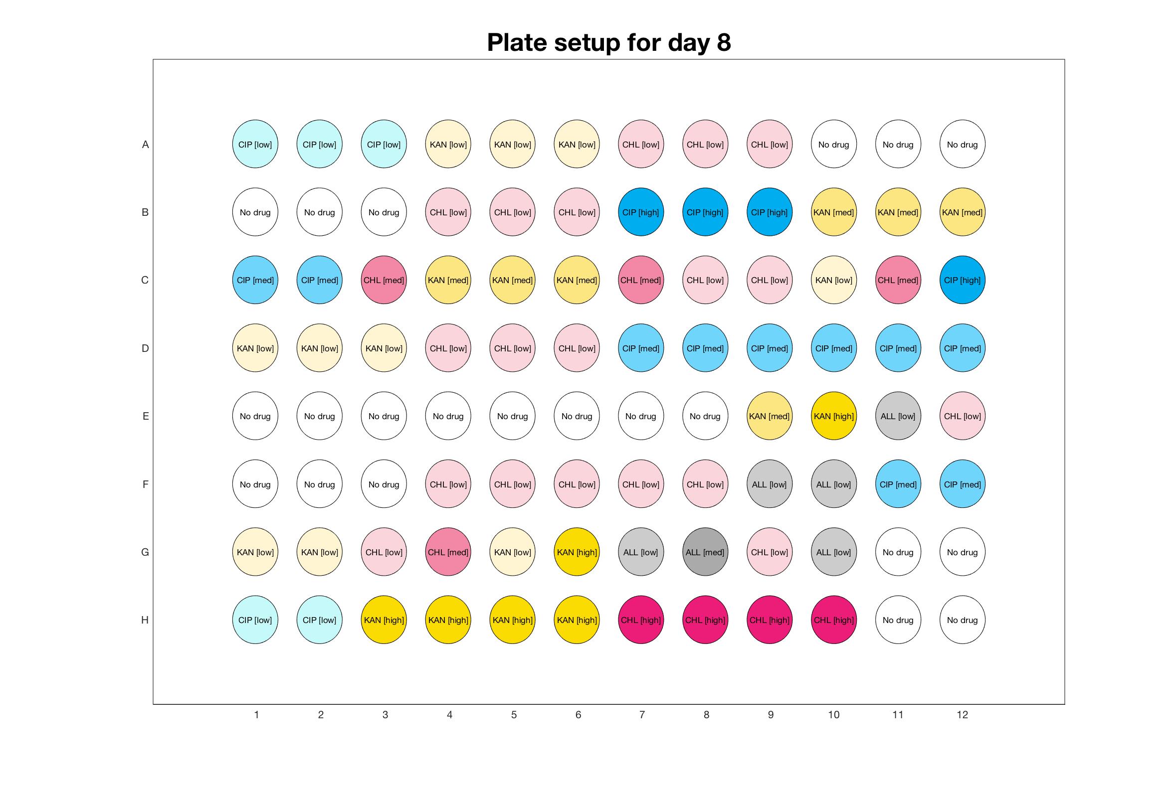 Plate setup for day - 8.jpg