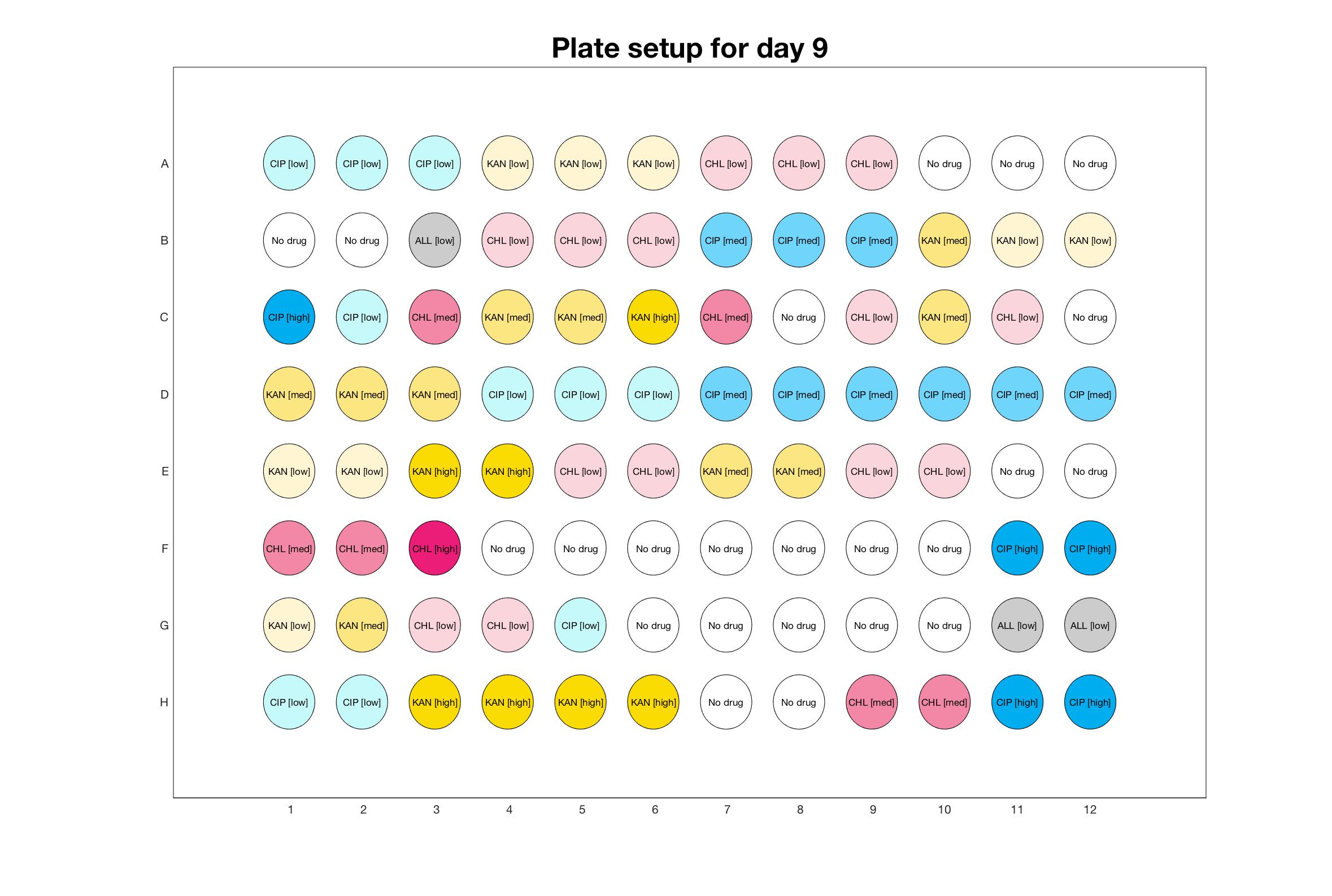 Plate setup for day - 9.jpg