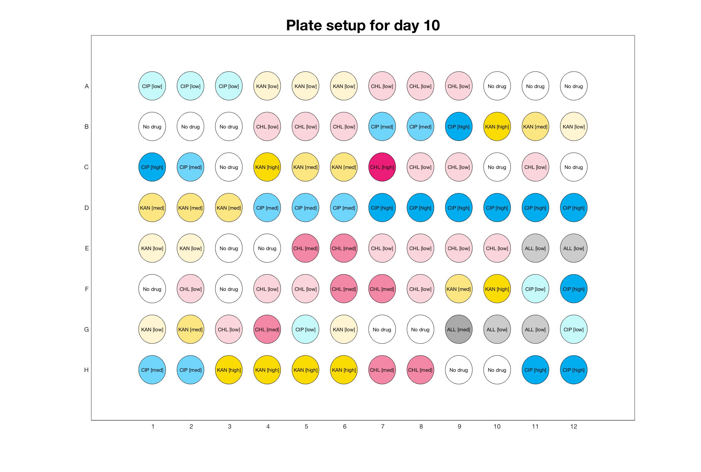 Plate setup for day - 10.jpg