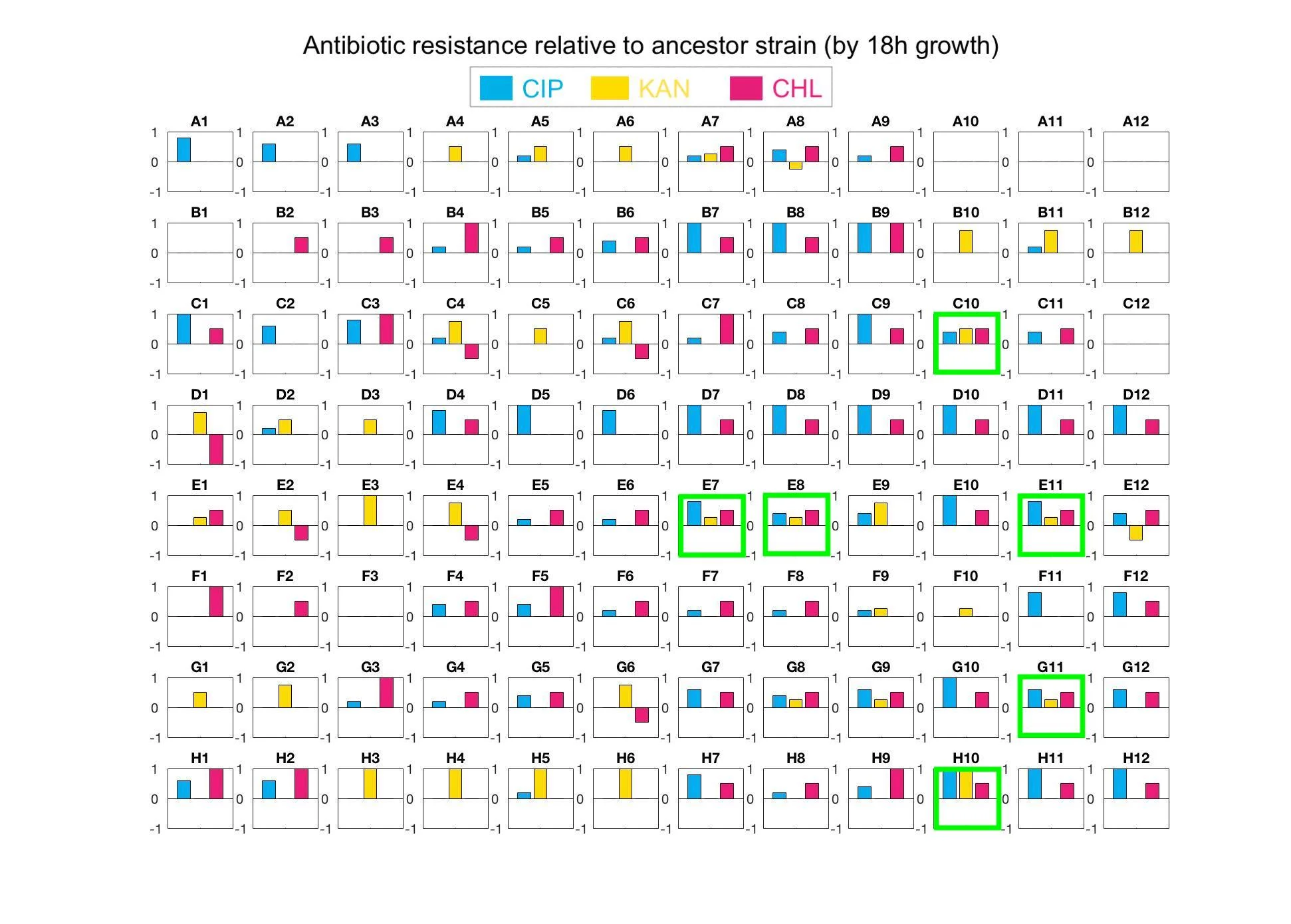 Levels of drug resistance relative to the ancestor strain. Wells marked in green a suspected as multi-drug resistant strains. 