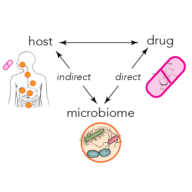 Host-drug interaction are modulated by the host microbiome (via direct and indirect mechanisms). We are investigating these complex interactions in the specific context of the tumor-associated bacteria.