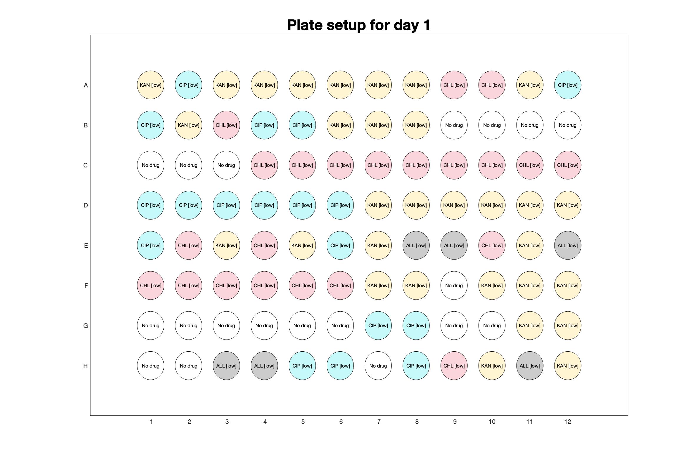 Plate setup for day - 1.jpg