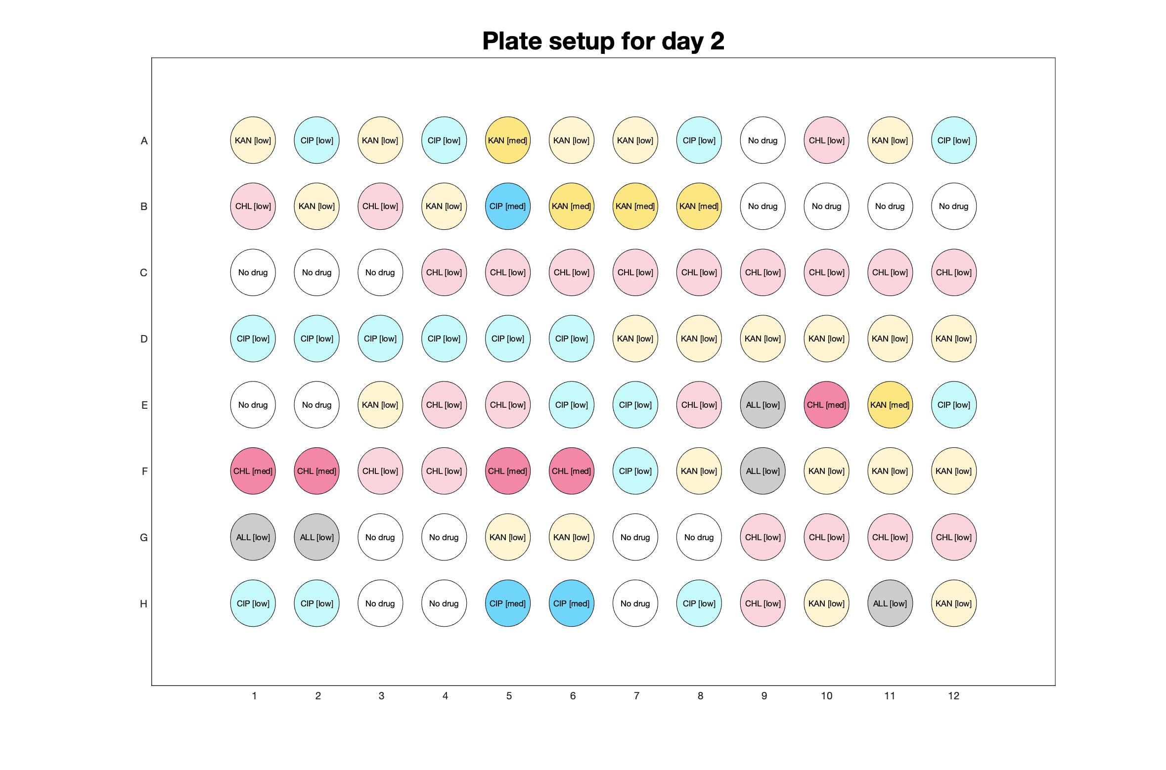 Plate setup for day - 2.jpg