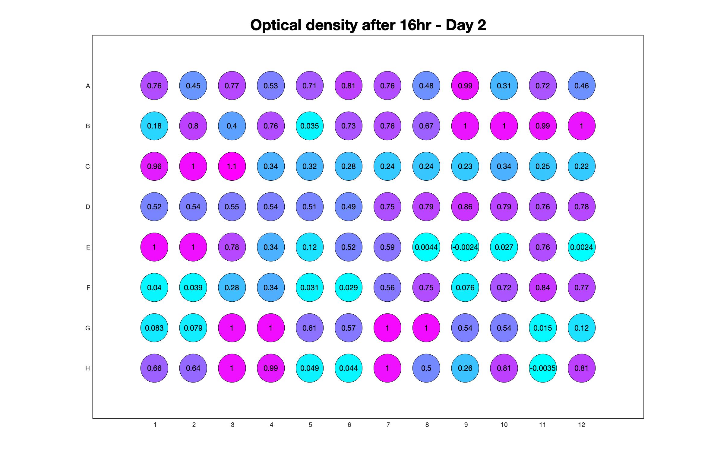 Optical density after 16hr - Day 2.jpg