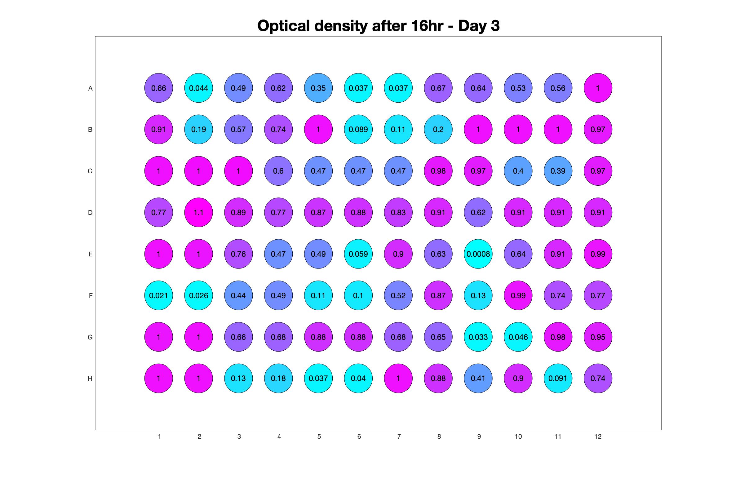 Optical density after 16hr - Day 3.jpg