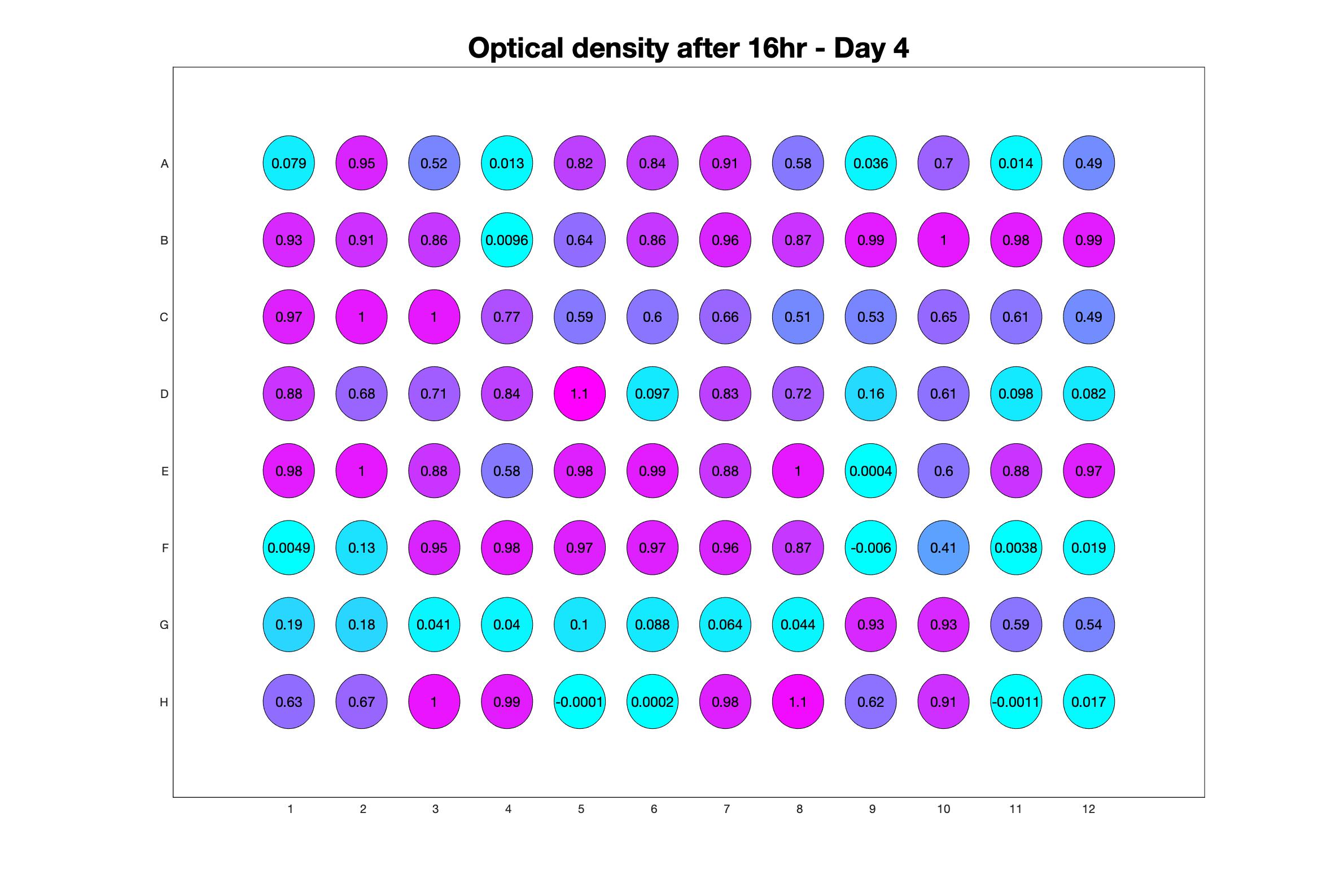 Optical density after 16hr - Day 4.jpg