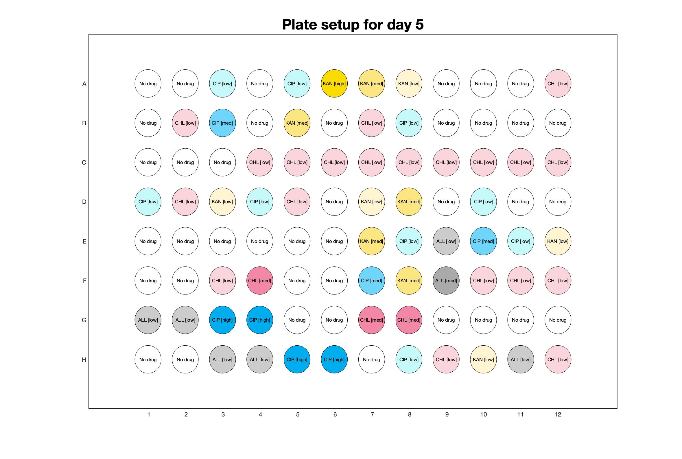 Plate setup for day - 5.jpg