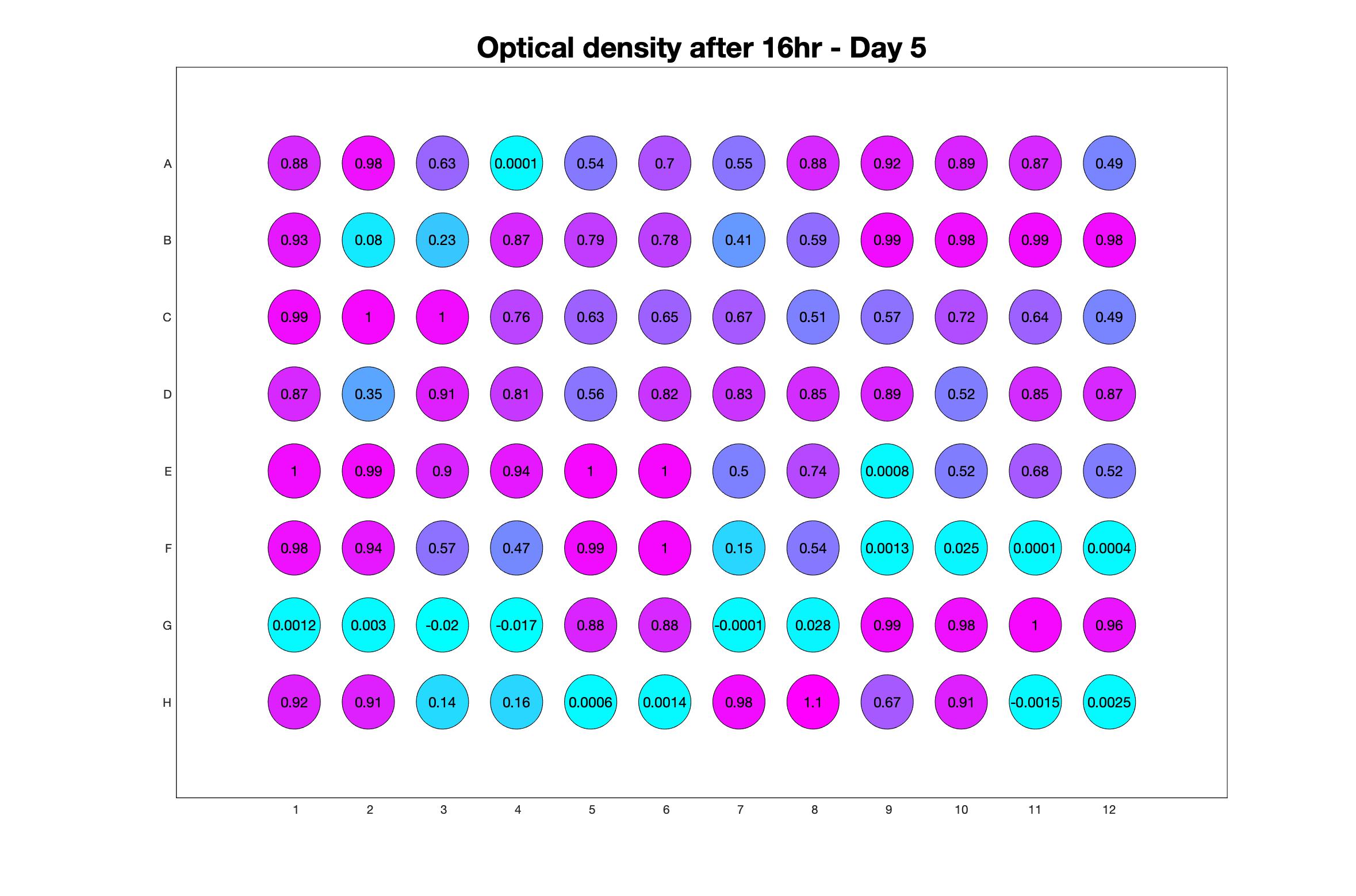 Optical density after 16hr - Day 5.jpg