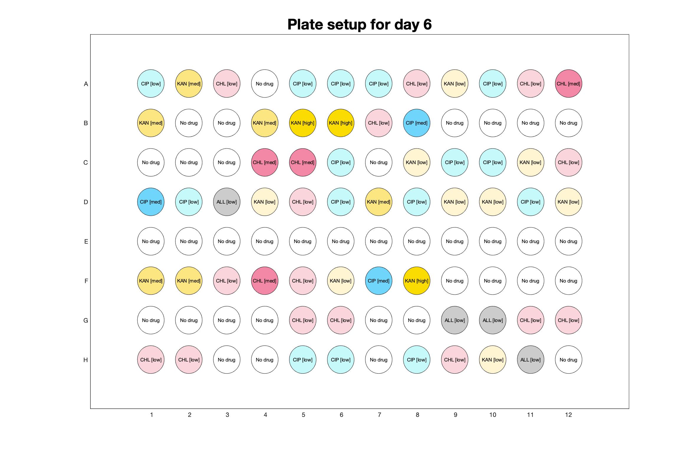 Plate setup for day - 6.jpg