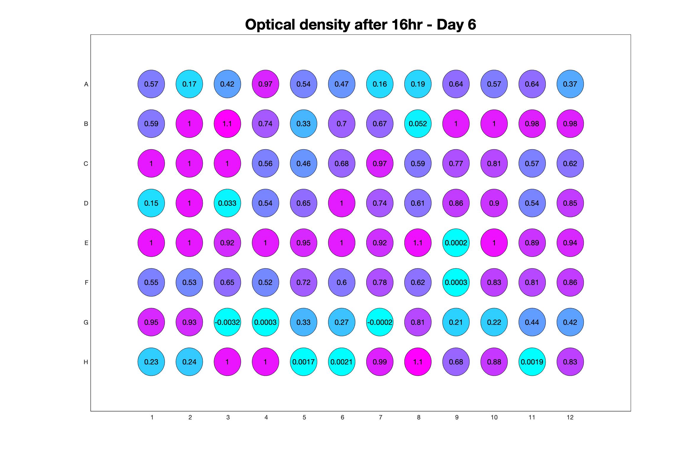 Optical density after 16hr - Day 6.jpg