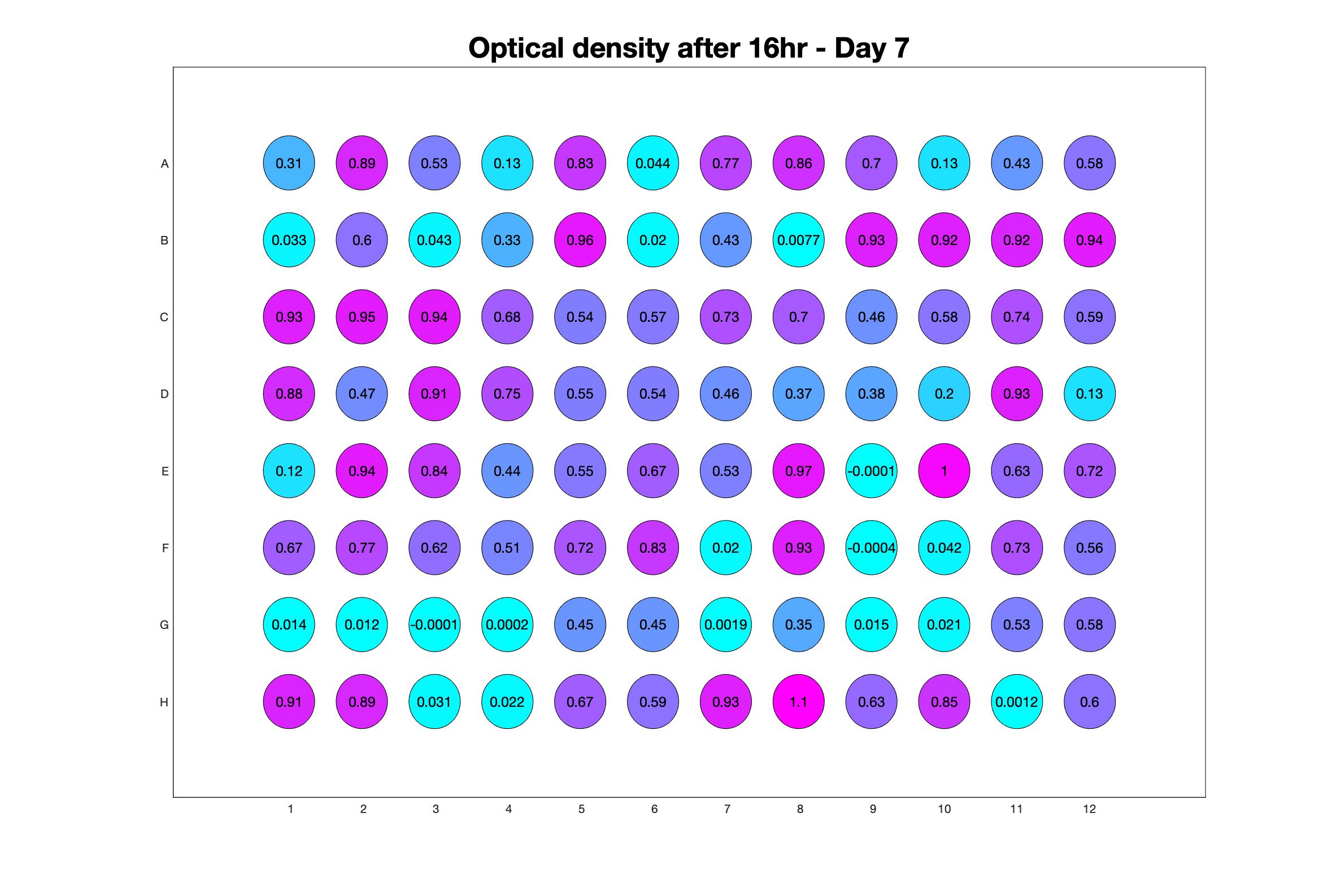 Optical density after 16hr - Day 7.jpg