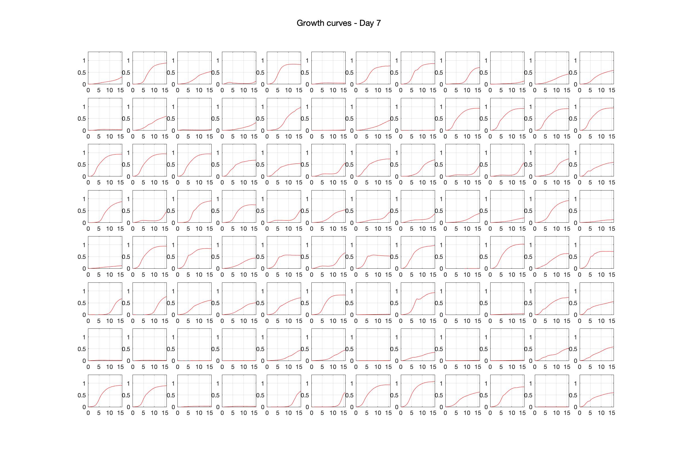 Optical density (16hr) - Day 7.jpg