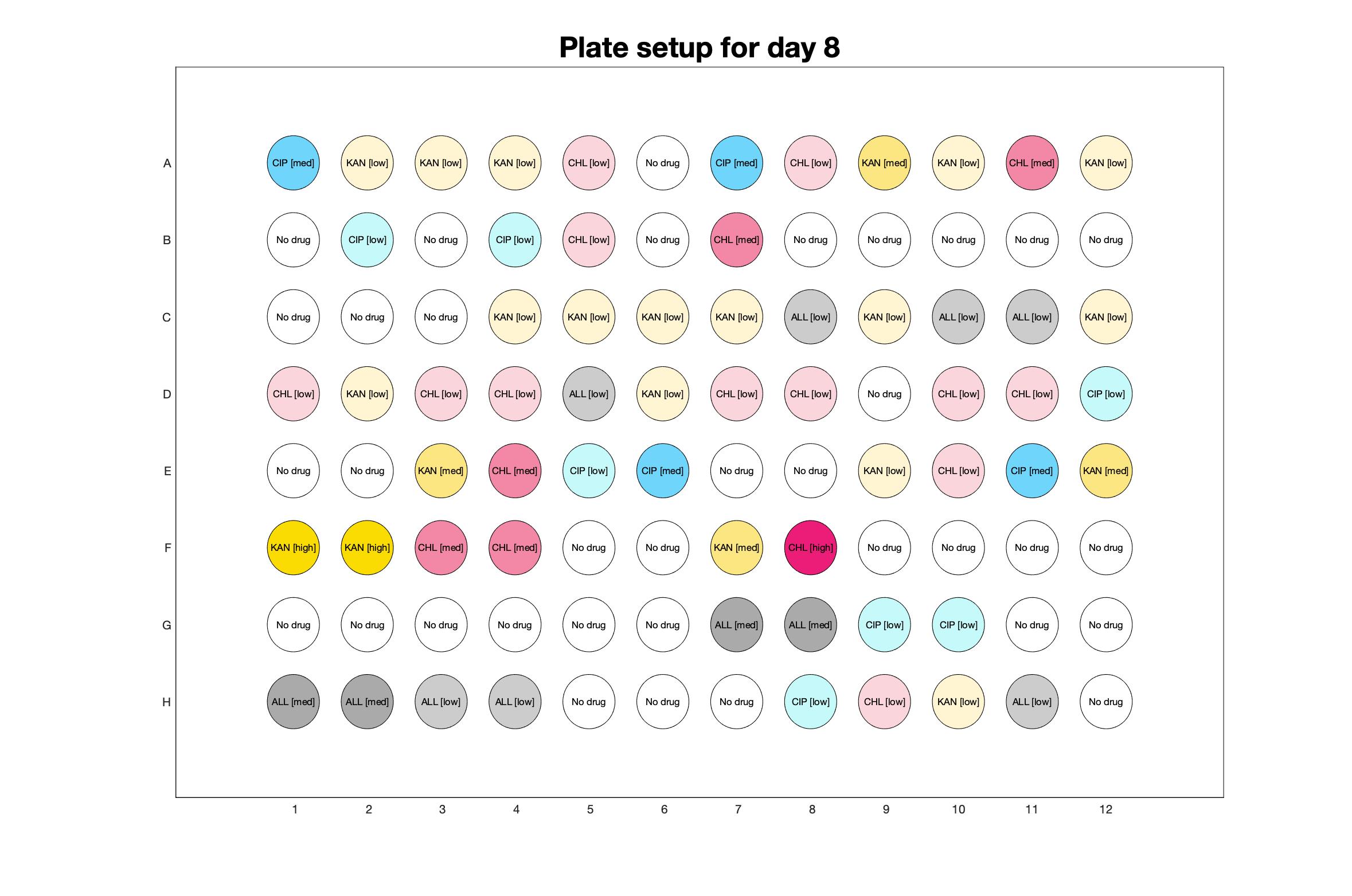 Plate setup for day - 8.jpg