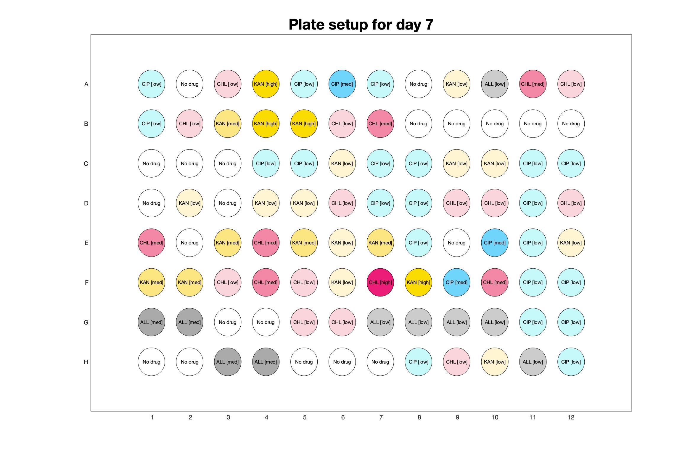 Plate setup for day - 7.jpg