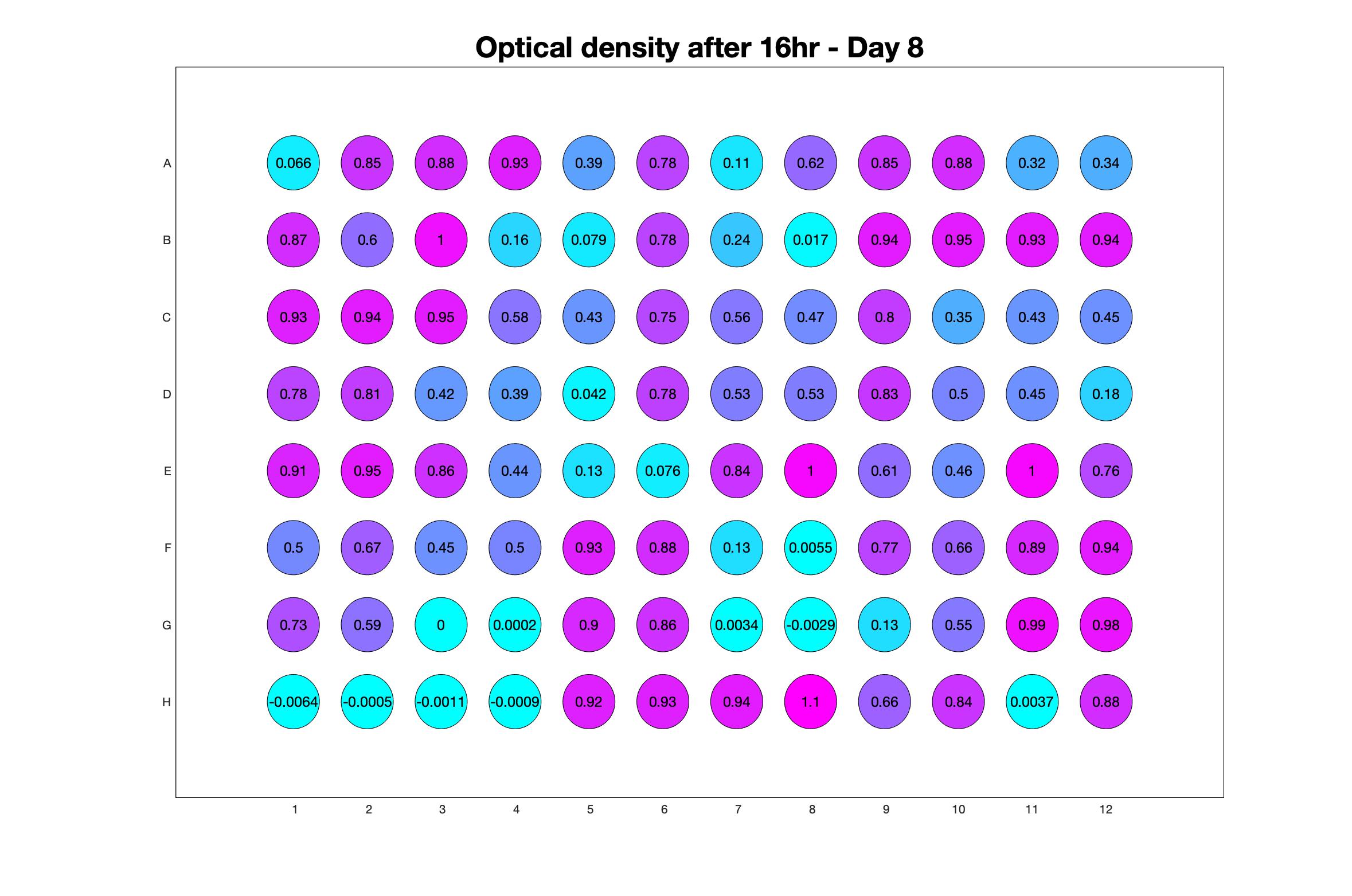 Optical density after 16hr - Day 8.jpg