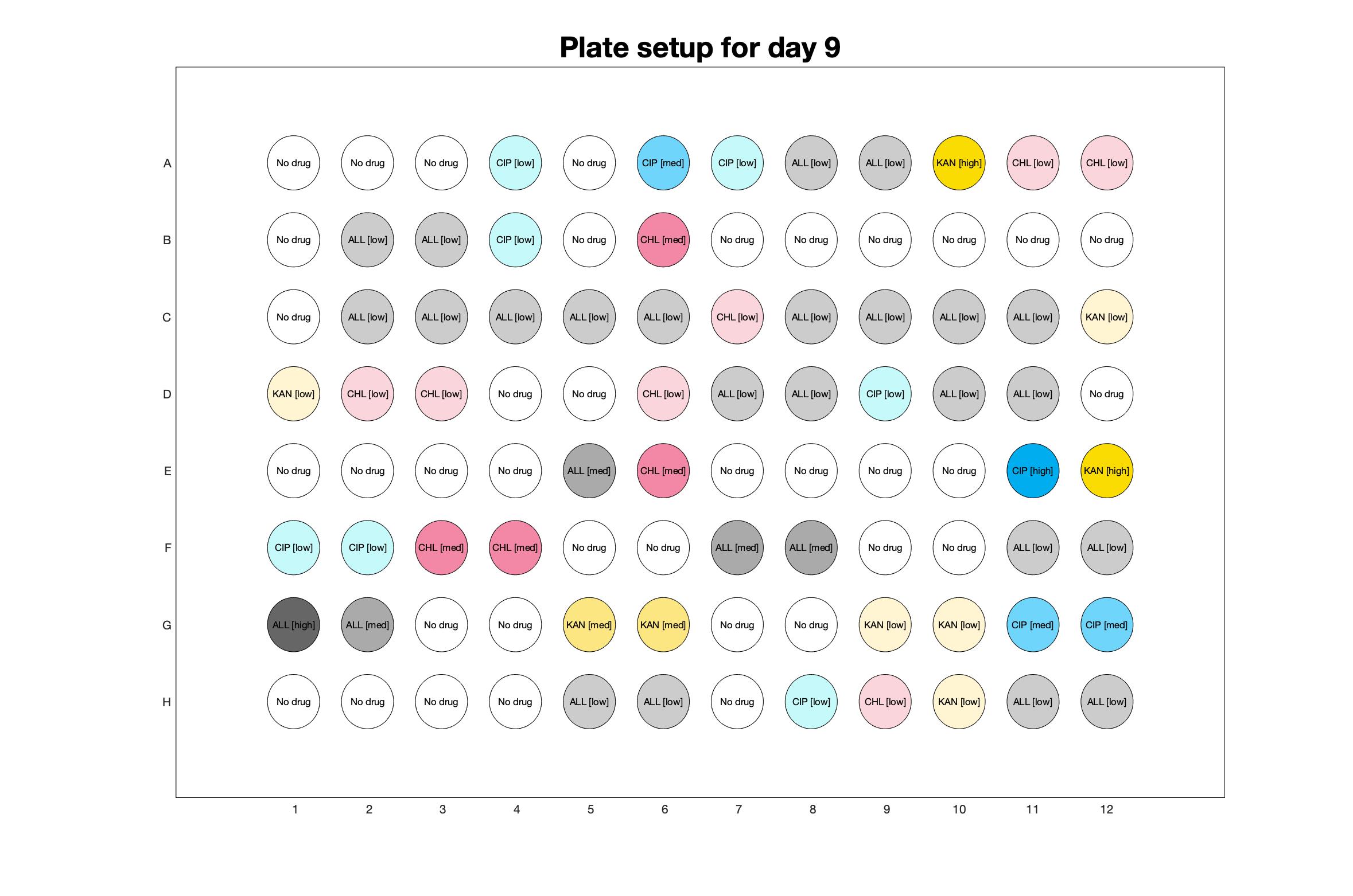 Plate setup for day - 9.jpg