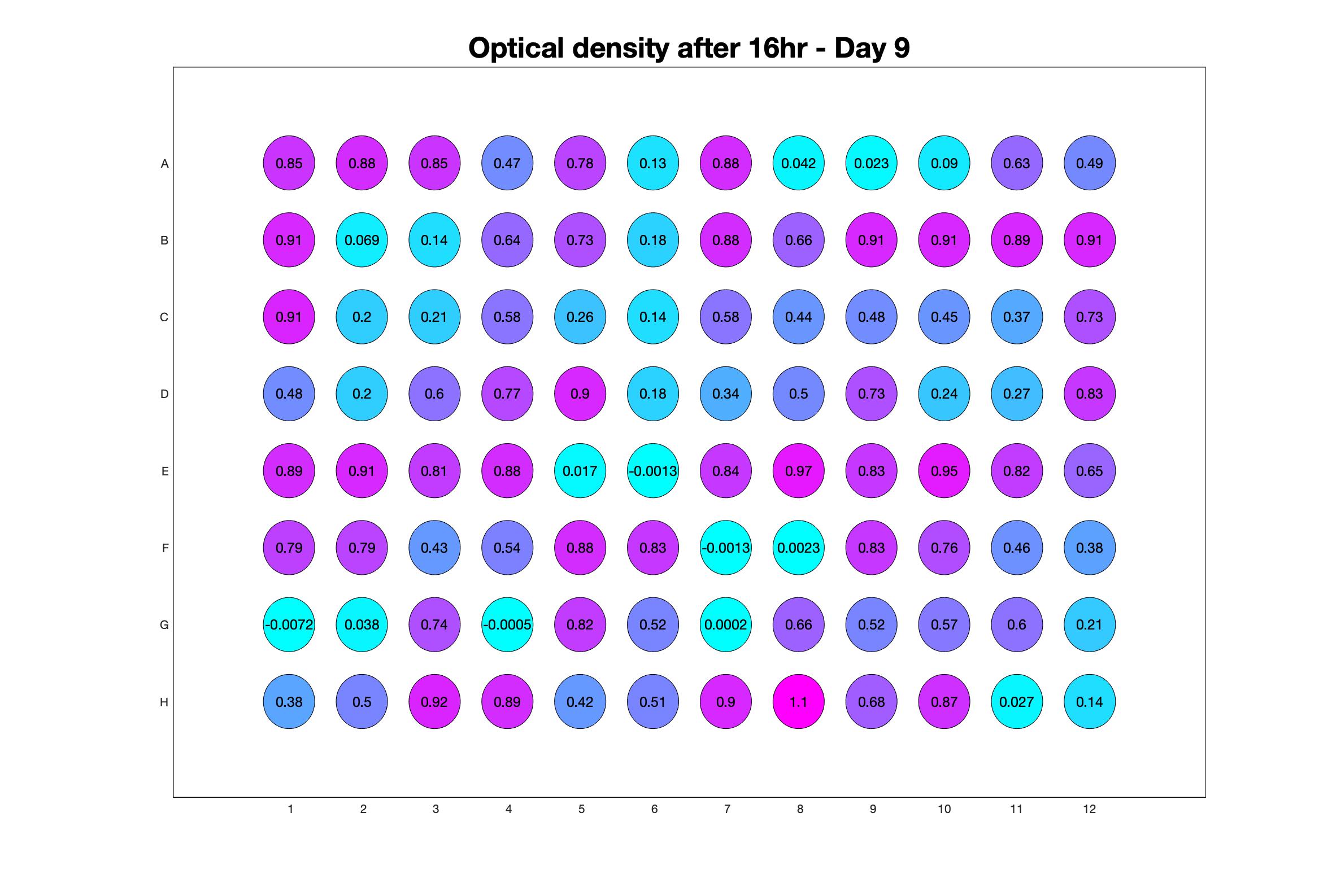 Optical density after 16hr - Day 9.jpg