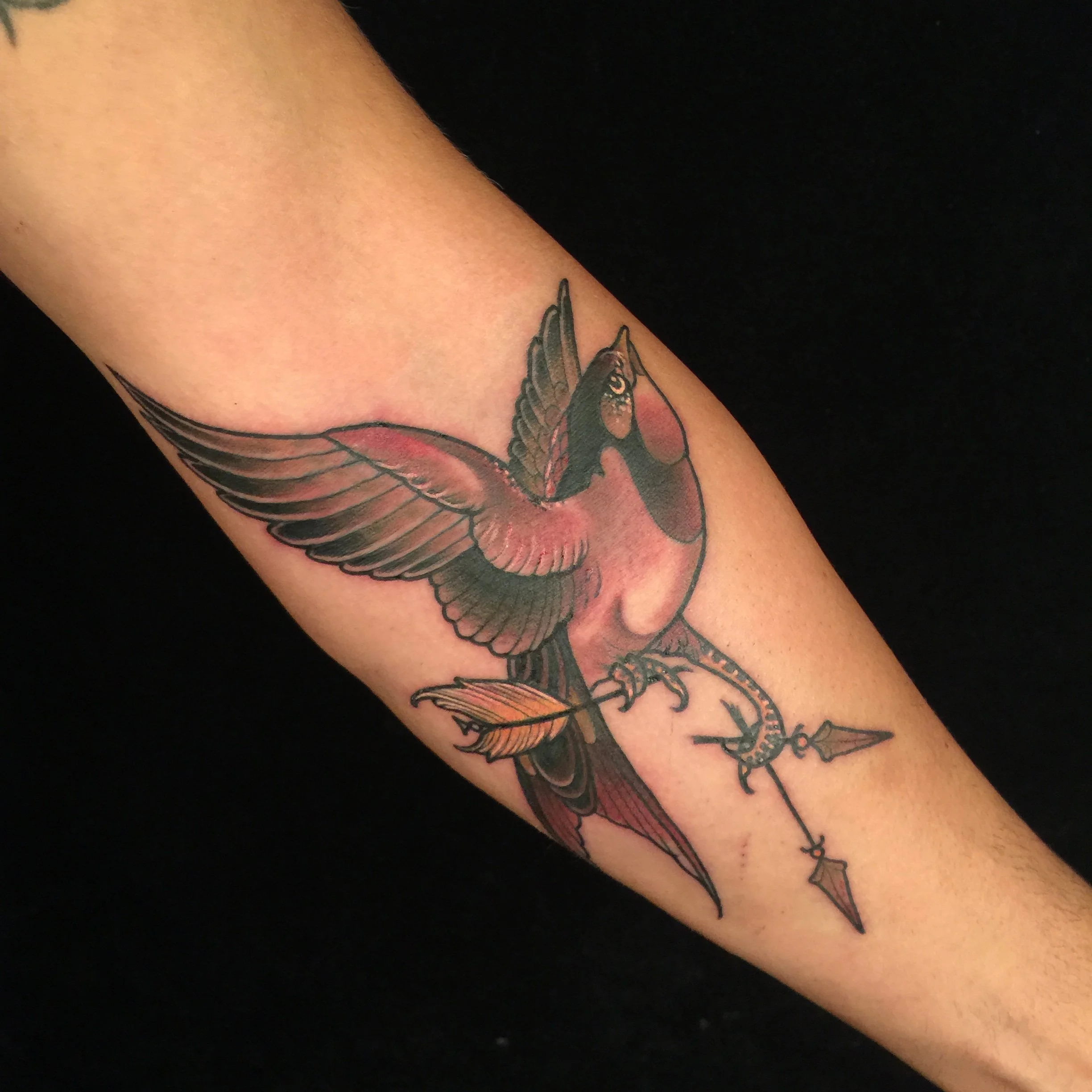  Neotraditional swallow with arrows 