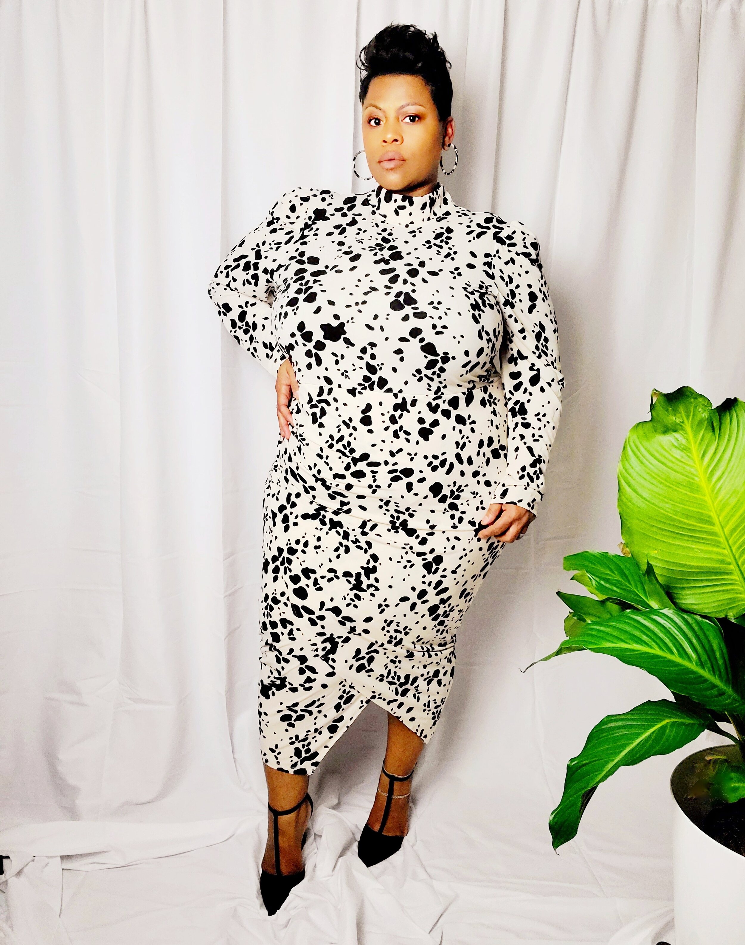 Dalmation Print.jpeg