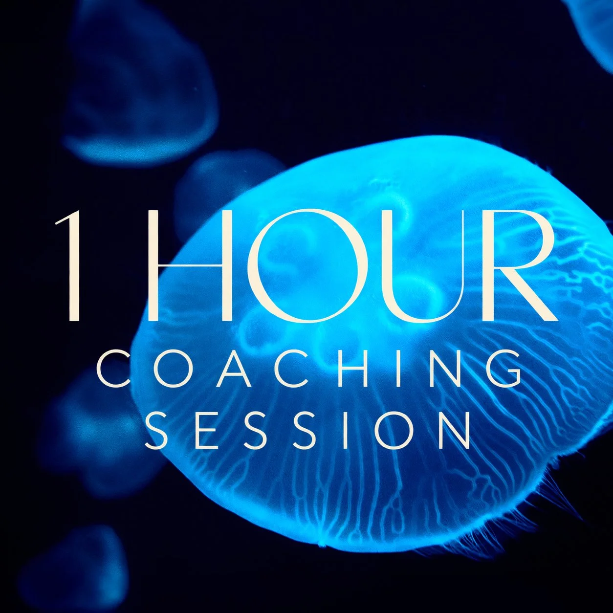 1HourCoachingSession.jpg