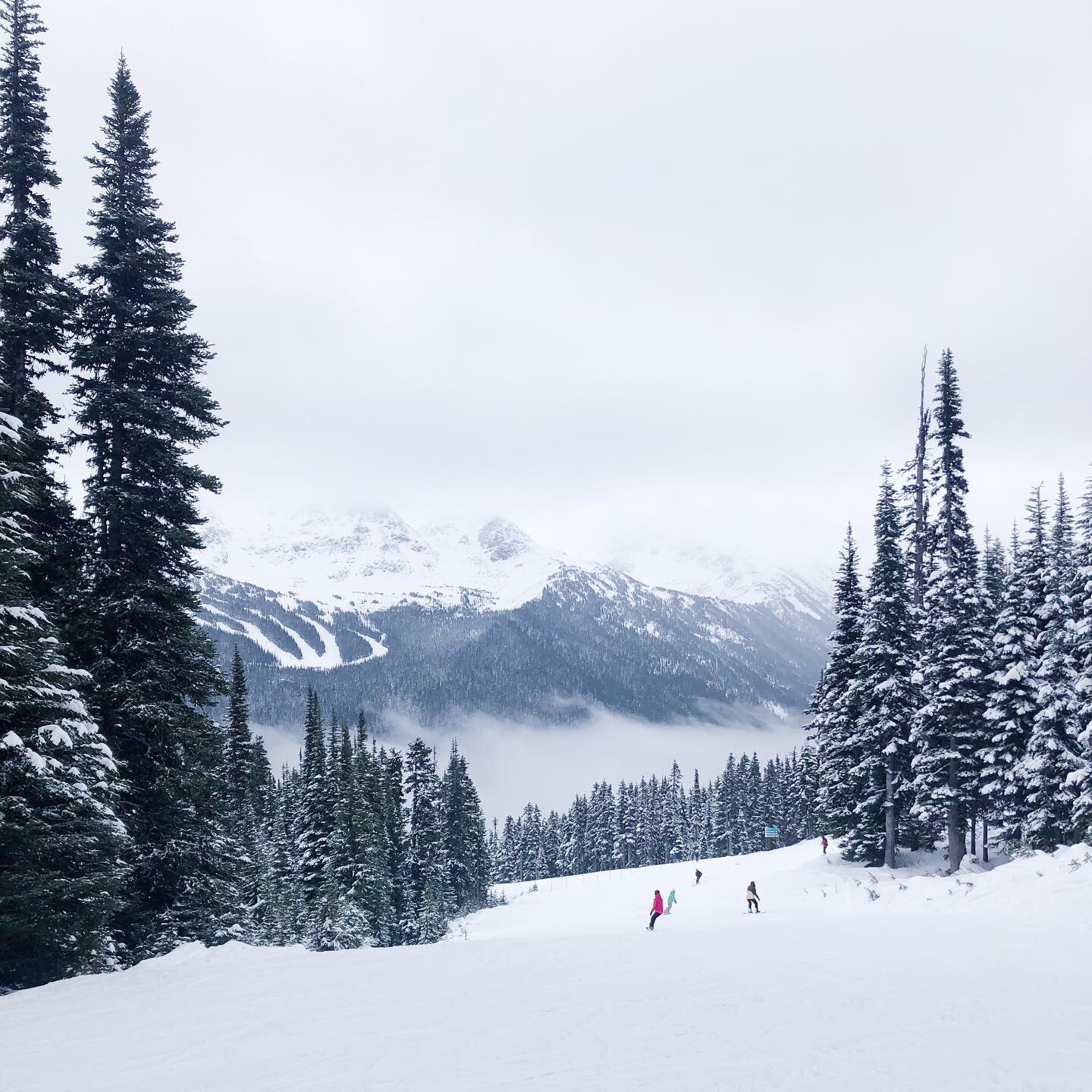 SNOWBOARDING WHISTLER TRIP 🏂 ⠀
⠀
I moved to Vancouver over 1 month ago, and this week I bought a new snowboard and hit the slopes at @whistlerblackcomb! 🏔⠀
⠀
It's always been on my bucket list, and boy was it worth it! The view was INCREDIBLE and t