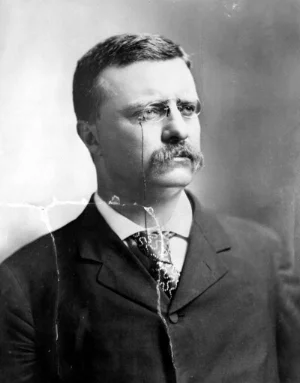 Teddy.jpg