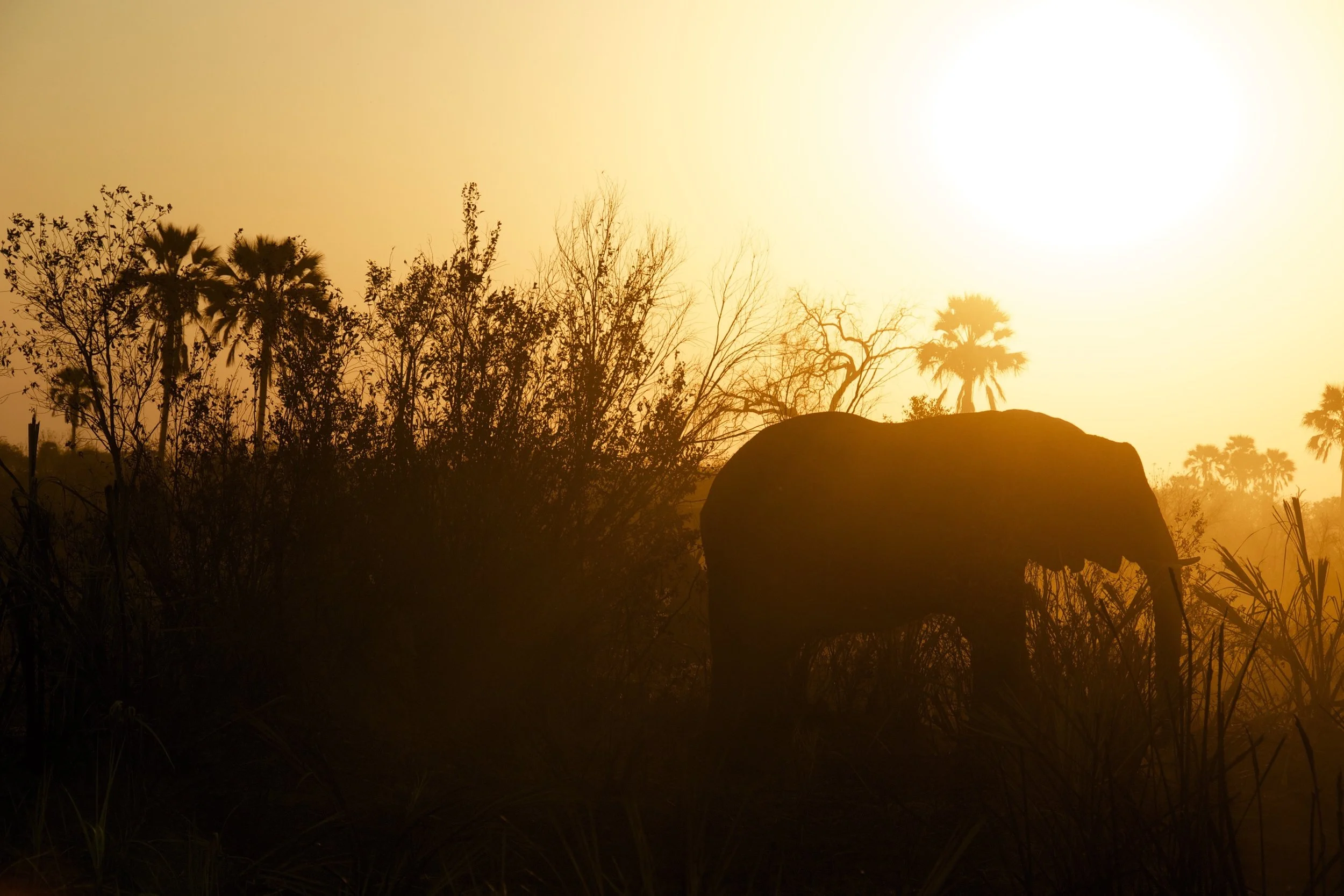 Dumela from Botswana!