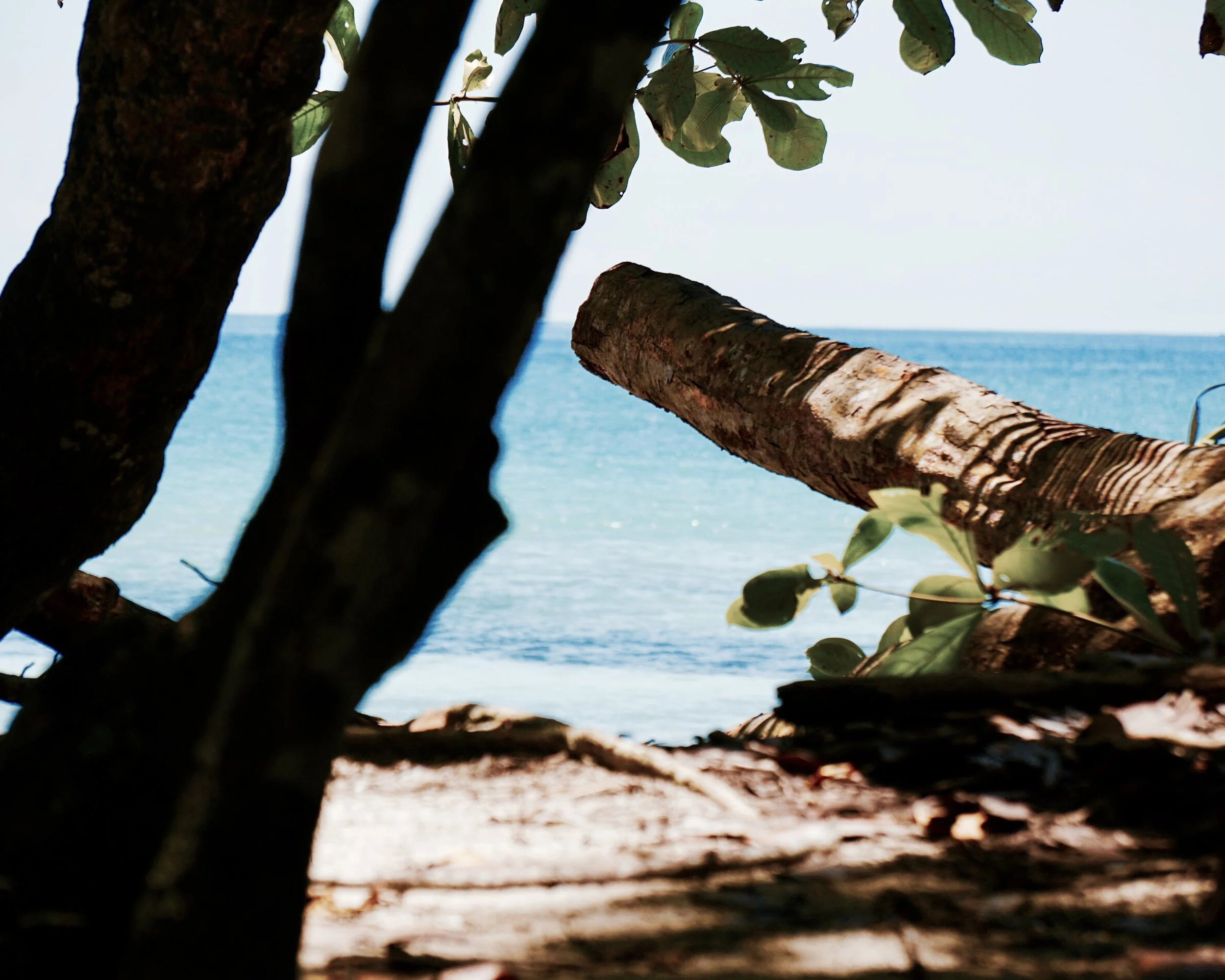 Good Food, Good Times, Great Friends 