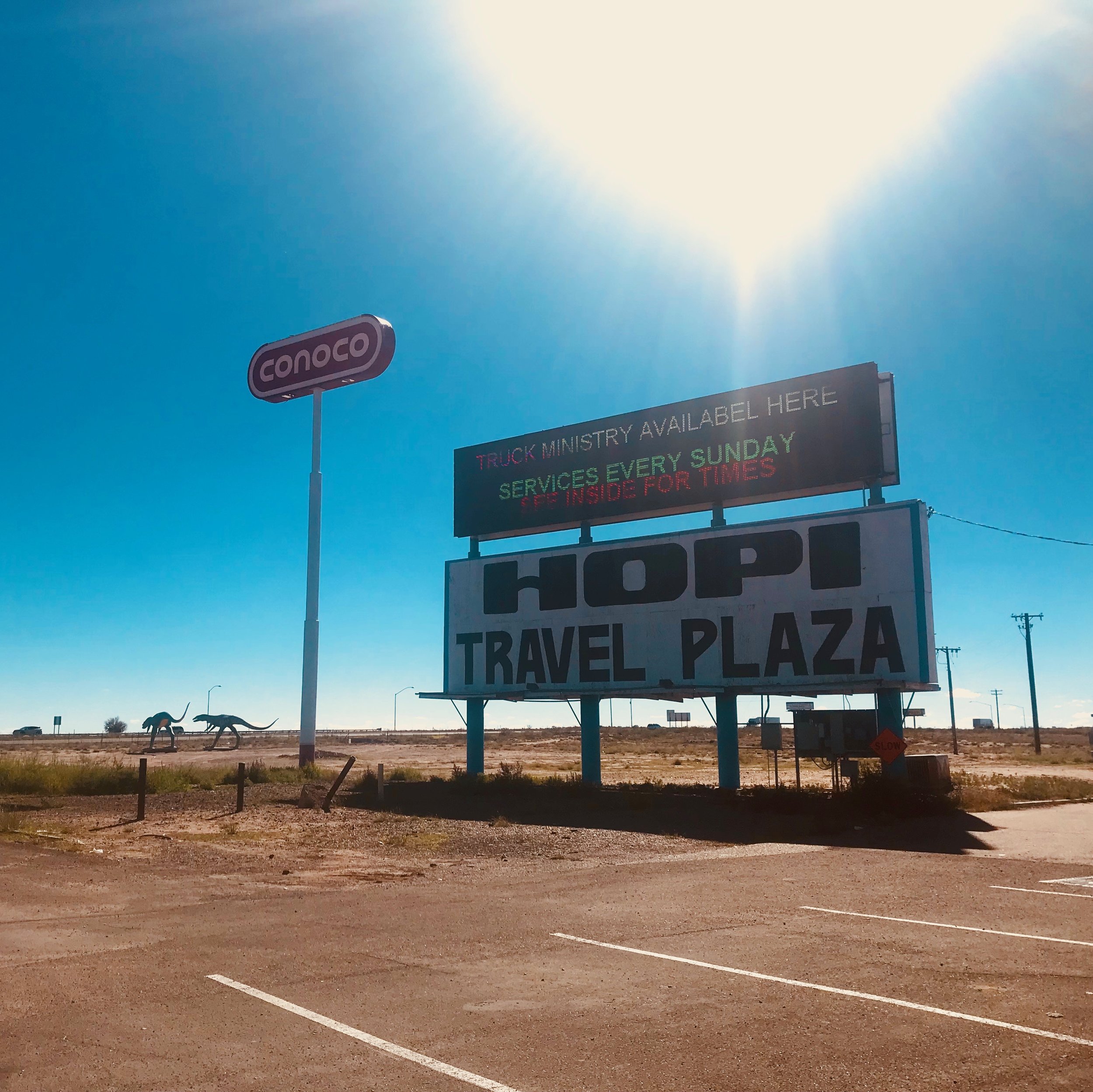 What they don’t tell you about are the dinosaurs running around. National Petrified Forest, AZ